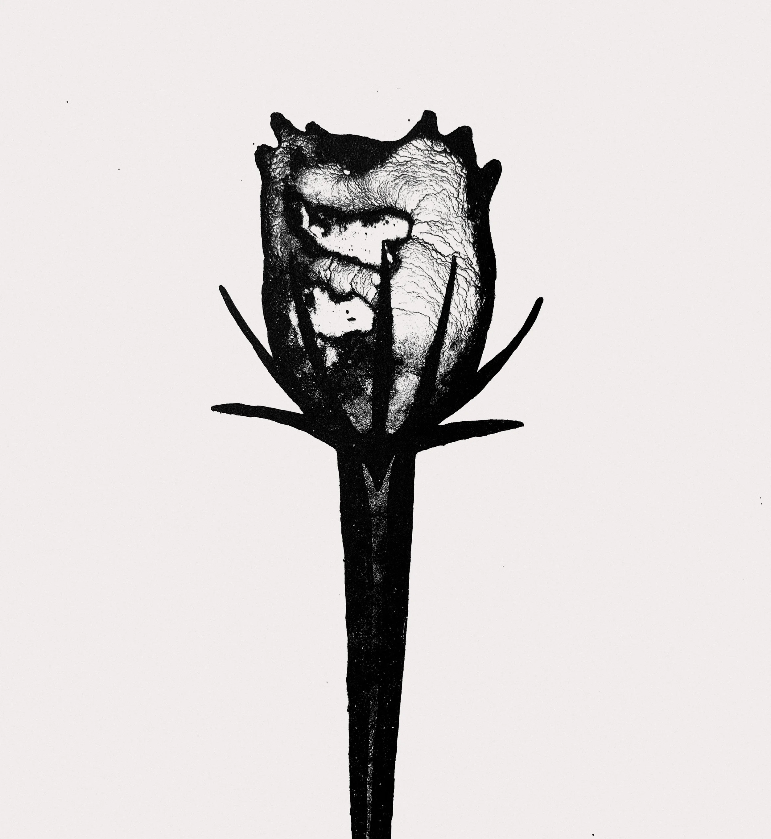 flower2_20x20_24.jpg