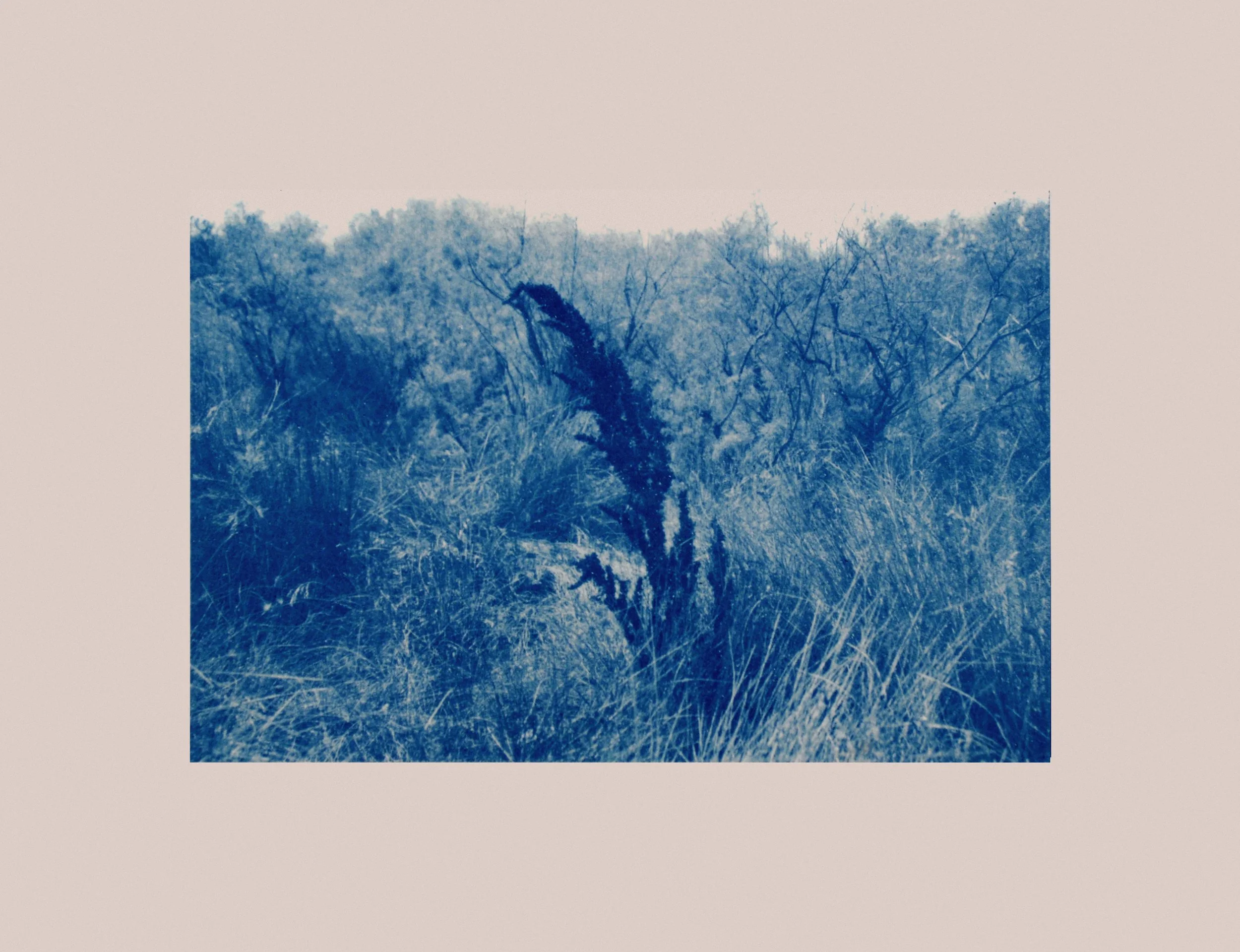 the_plant_photo24.jpg