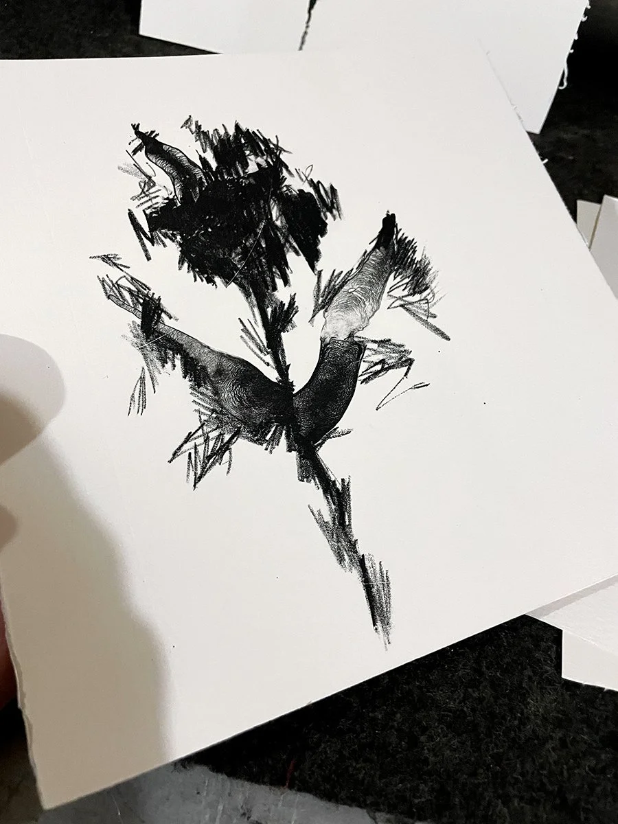 black_flower43.jpg