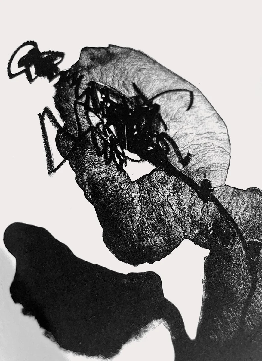 black_flower.jpg