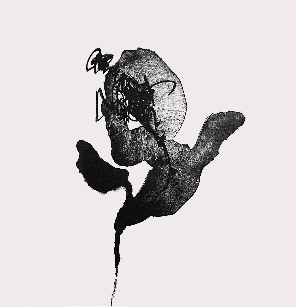 black_flower6.jpg