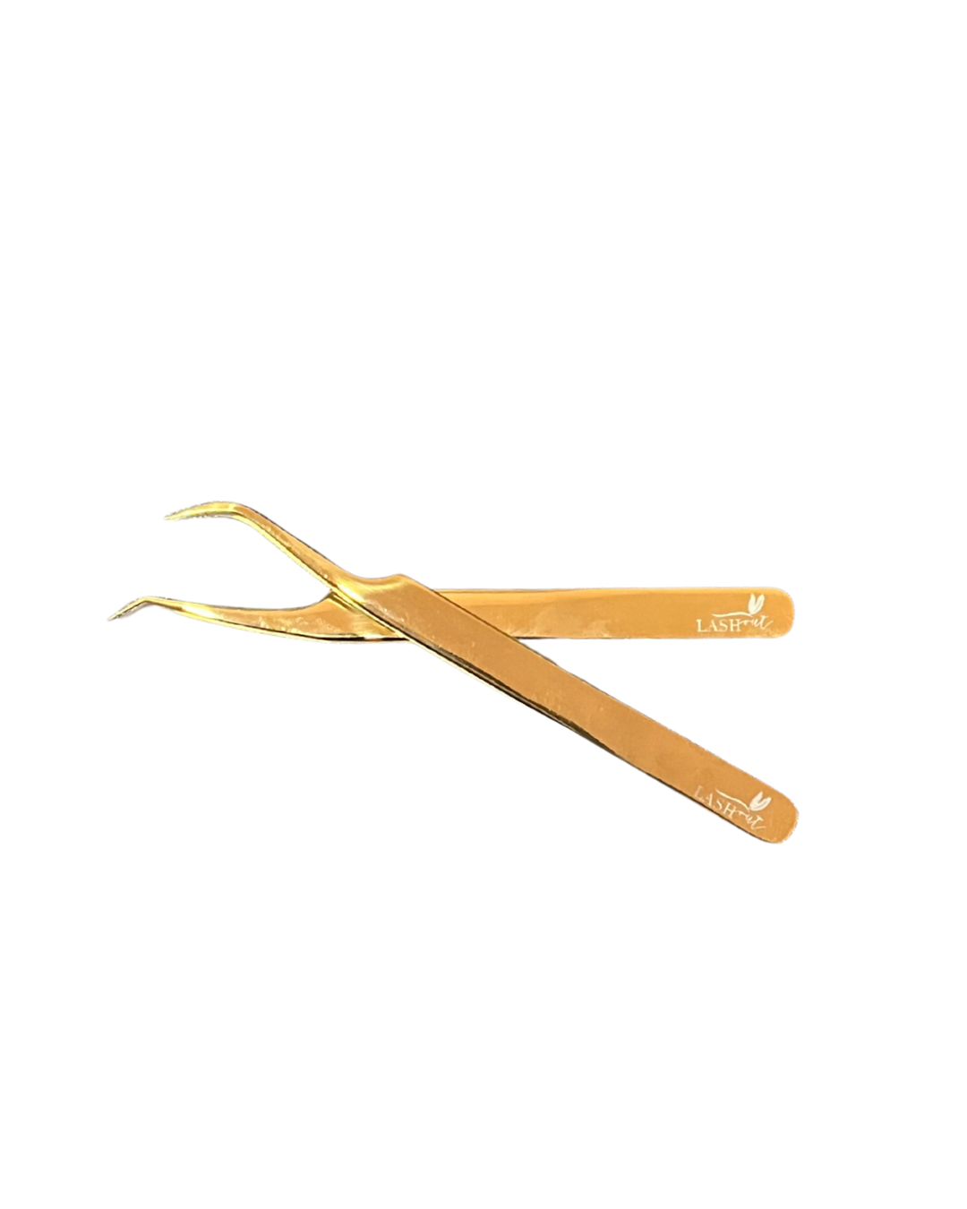 Canva Design (81).png