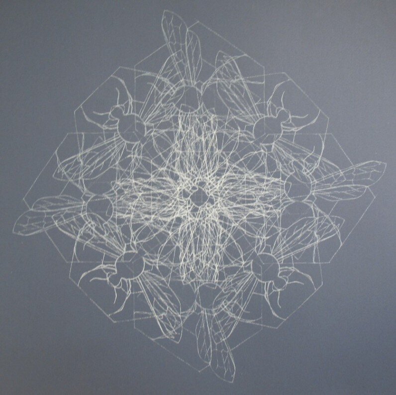 "Insection Blue," 2006, Screen print.