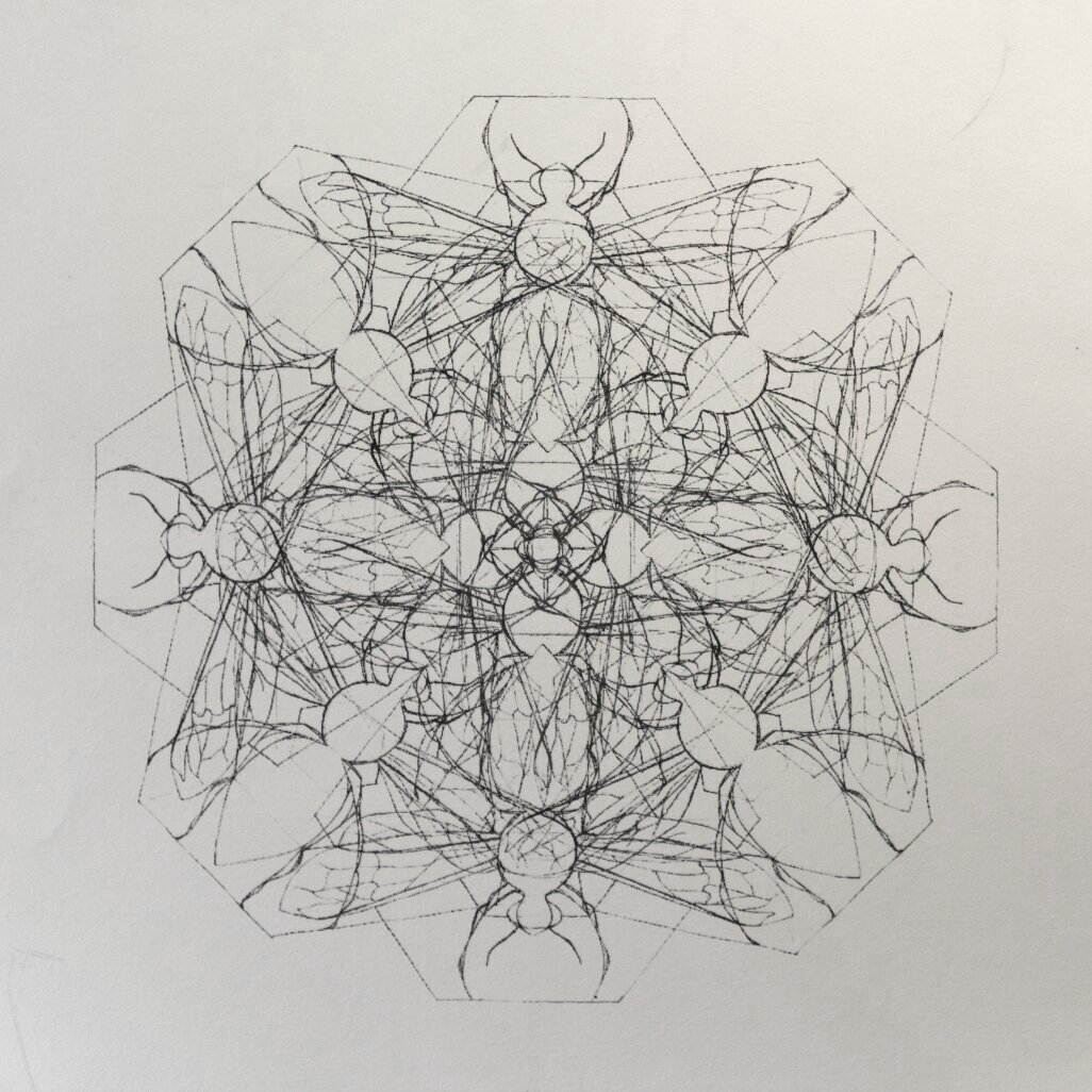 "Insection," 2006, Screen print.
