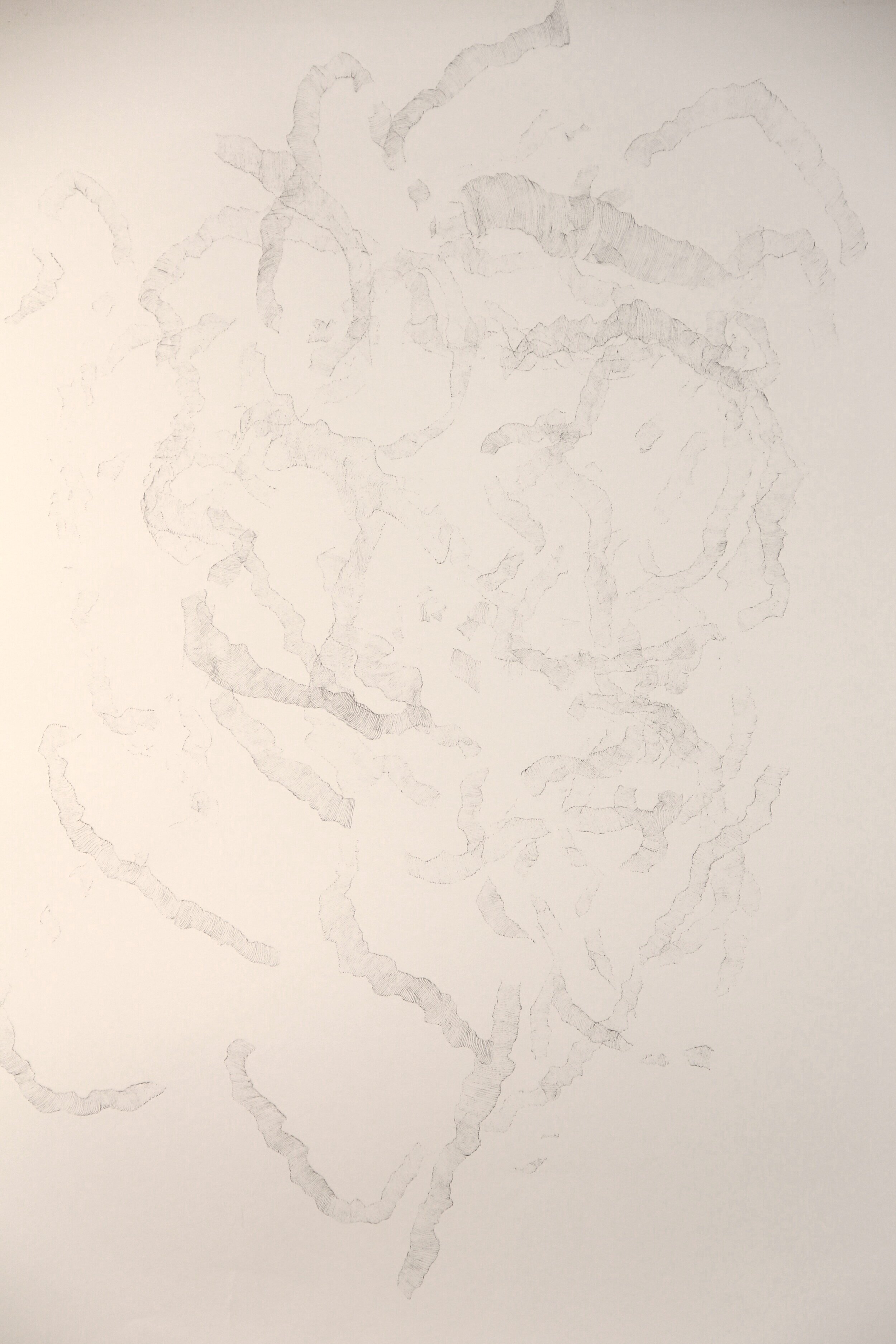 "Bleed Drawing I." 2007.
