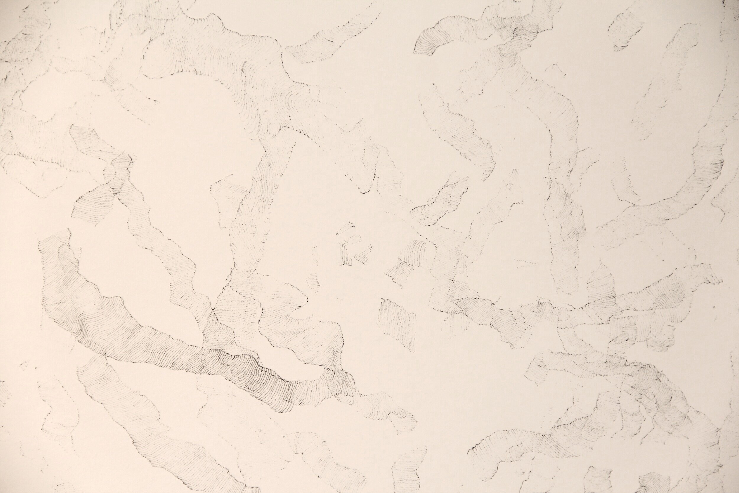 "Bleed Drawing I." Detail. 2007.