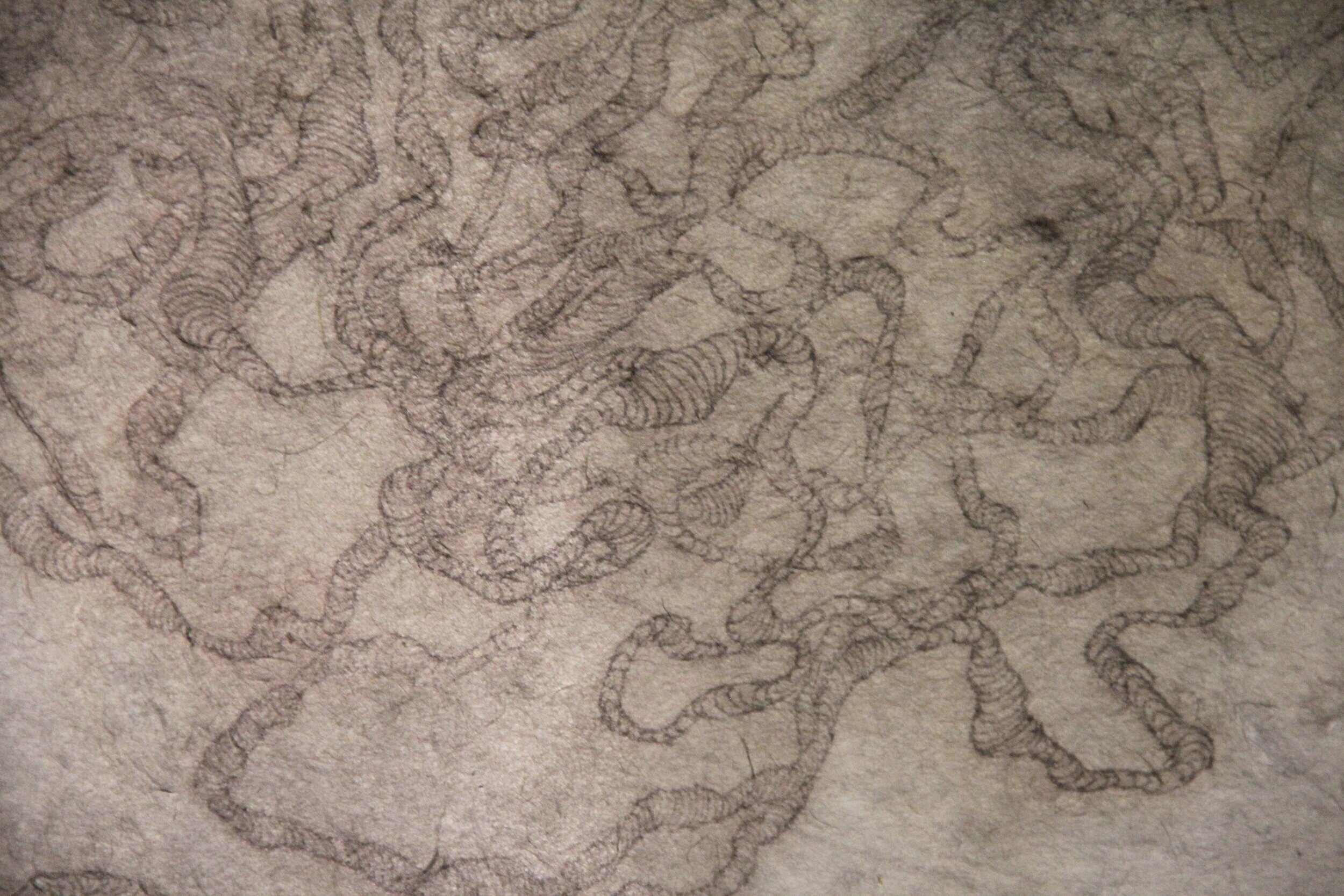 "Bleed Drawing III." Detail. 2007. Ink on paper with water.