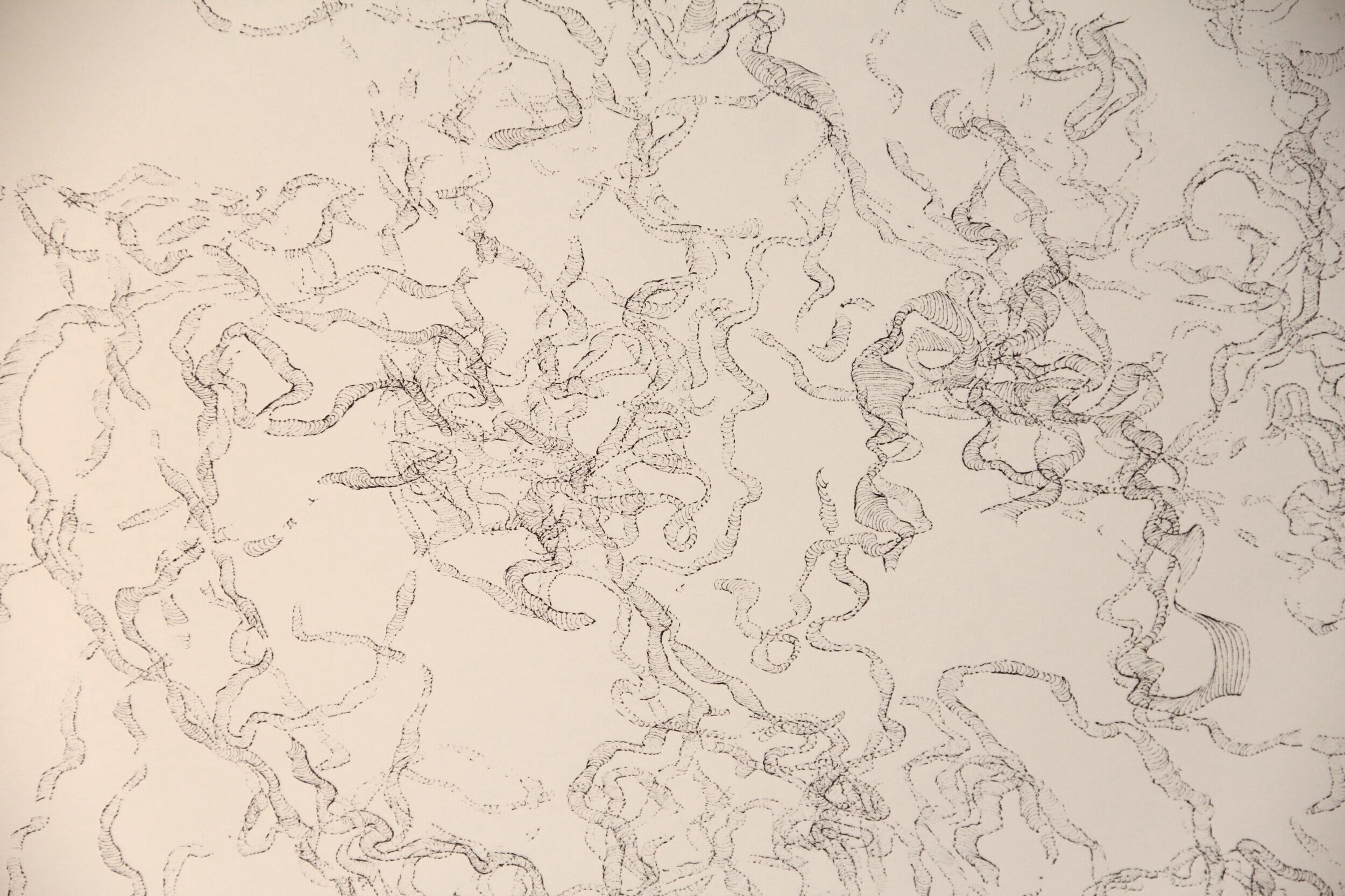 "Bleed Drawing III." Detail. 2007.