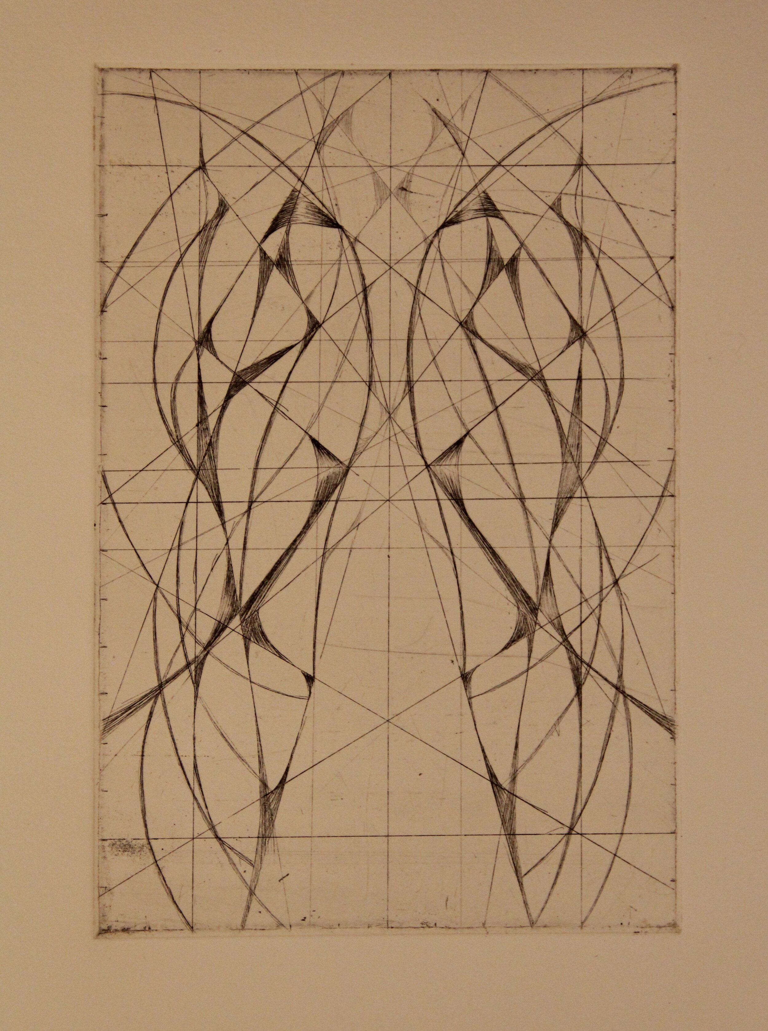 "Systematic Evolution IV," Artists Proof, 2004, Intaglio etching.
