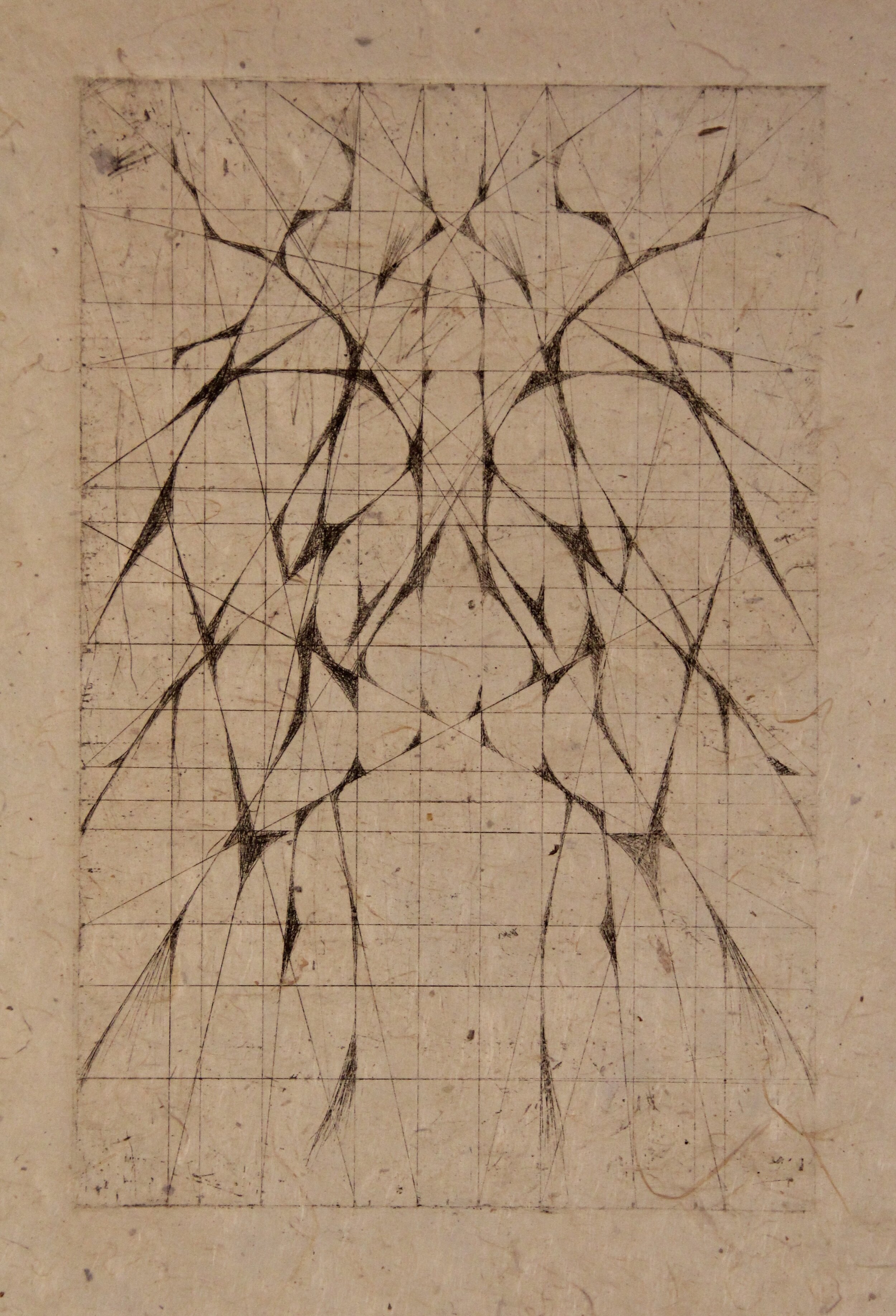 "Systematic Evolution III," Artists Proof, 2004, Intaglio Etching.