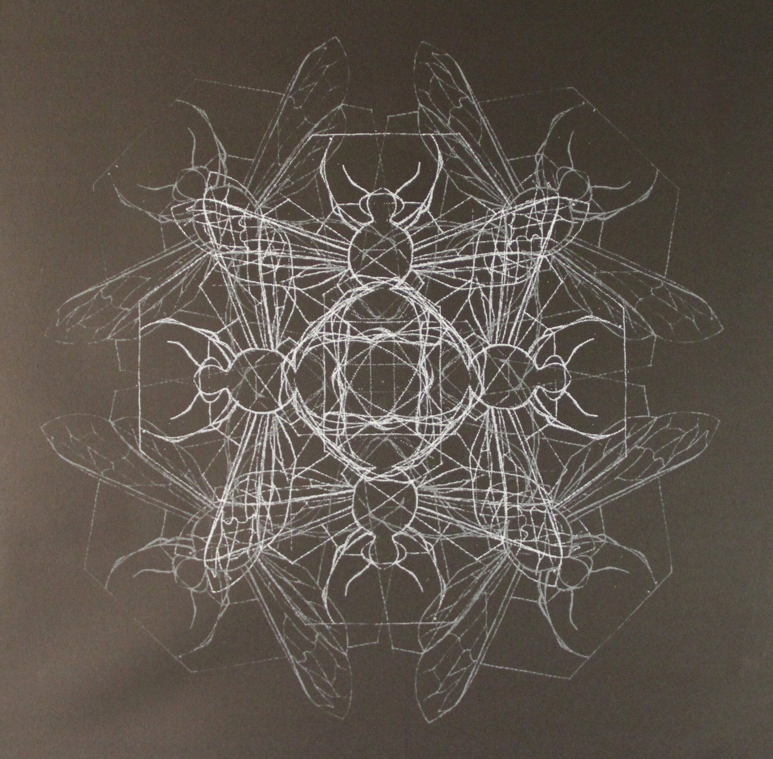 "Insection Black," 2005, Screen print.