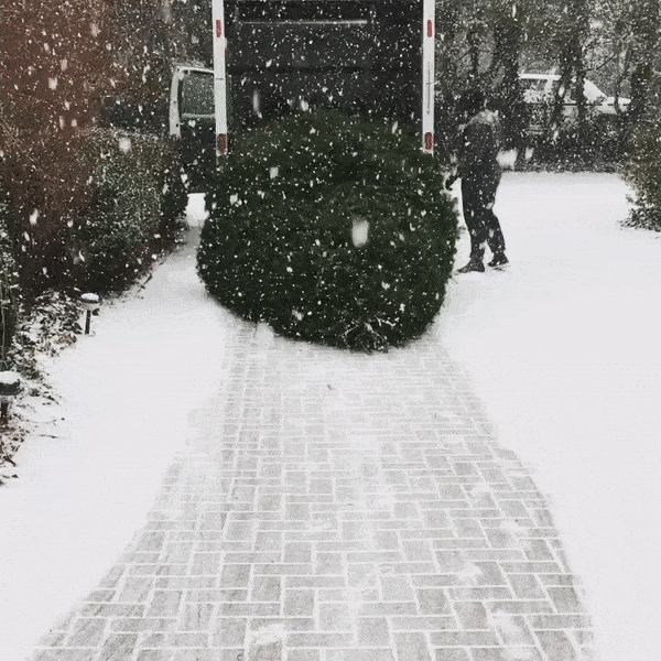 ezgif-2-783e2893effe.gif