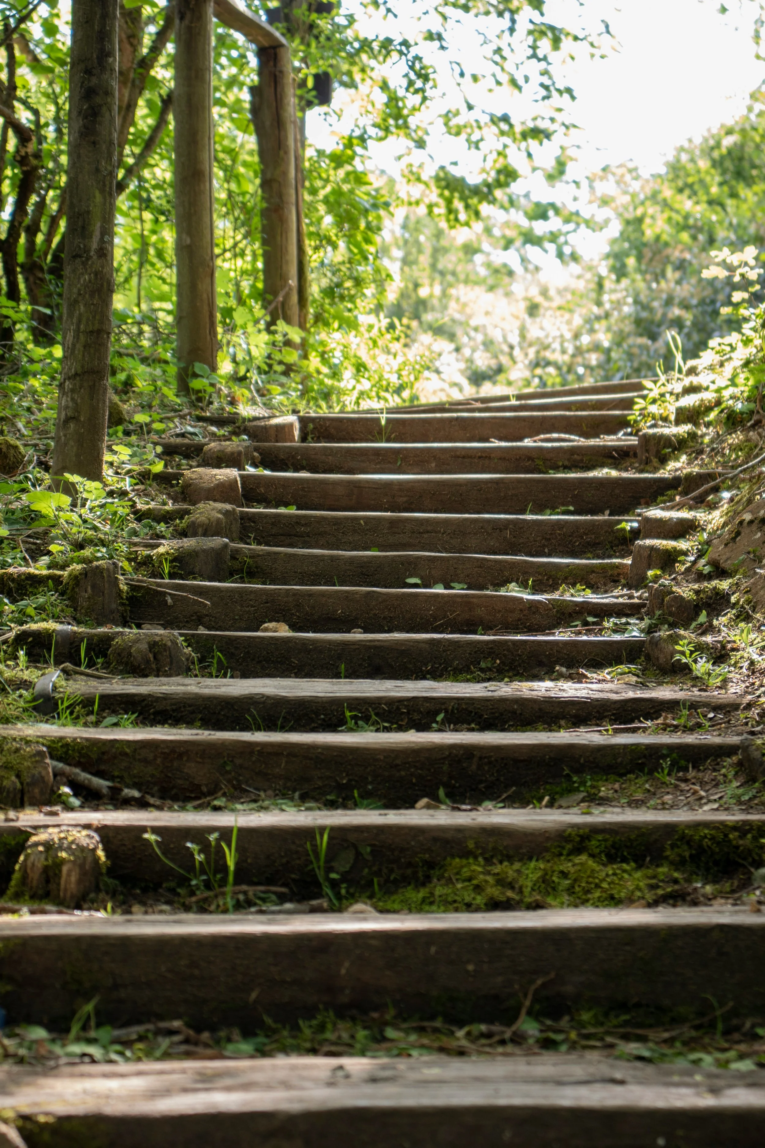 Incentivized Recovery: Best Practices in Contingency Management for Stimulant Use Disorder