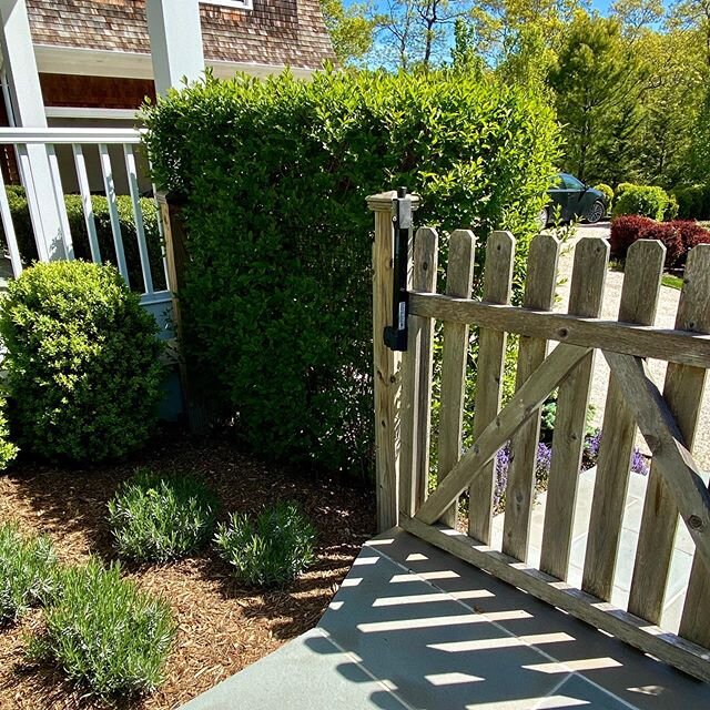 Gorgeous day to appreciate this gorgeous installation. 
Lavender, boxwood, viburnum and ajuga are just a few of the many species we planted on this lovely property. Complemented by our bluestone walkway, metal edging and pea gravel driveway. Swipe to