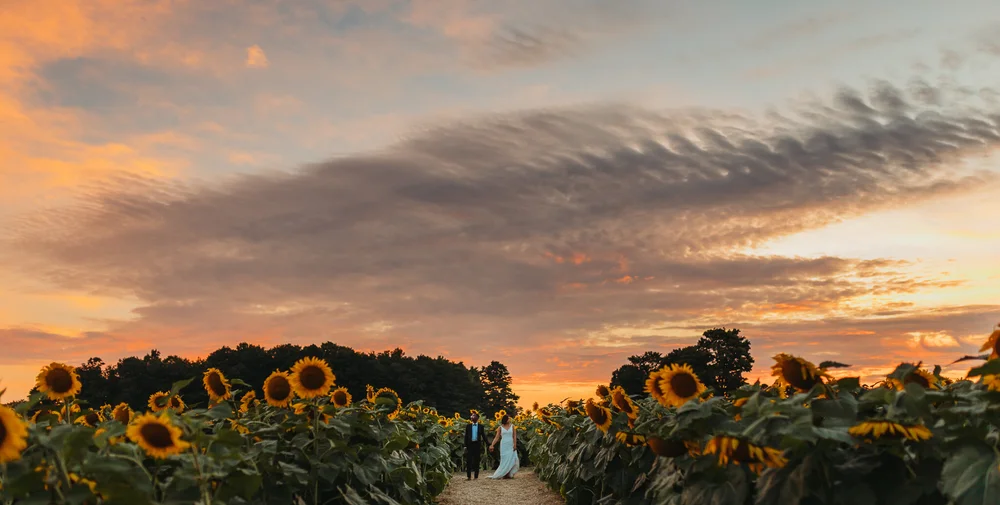 Elopements — The Sunflower Farm