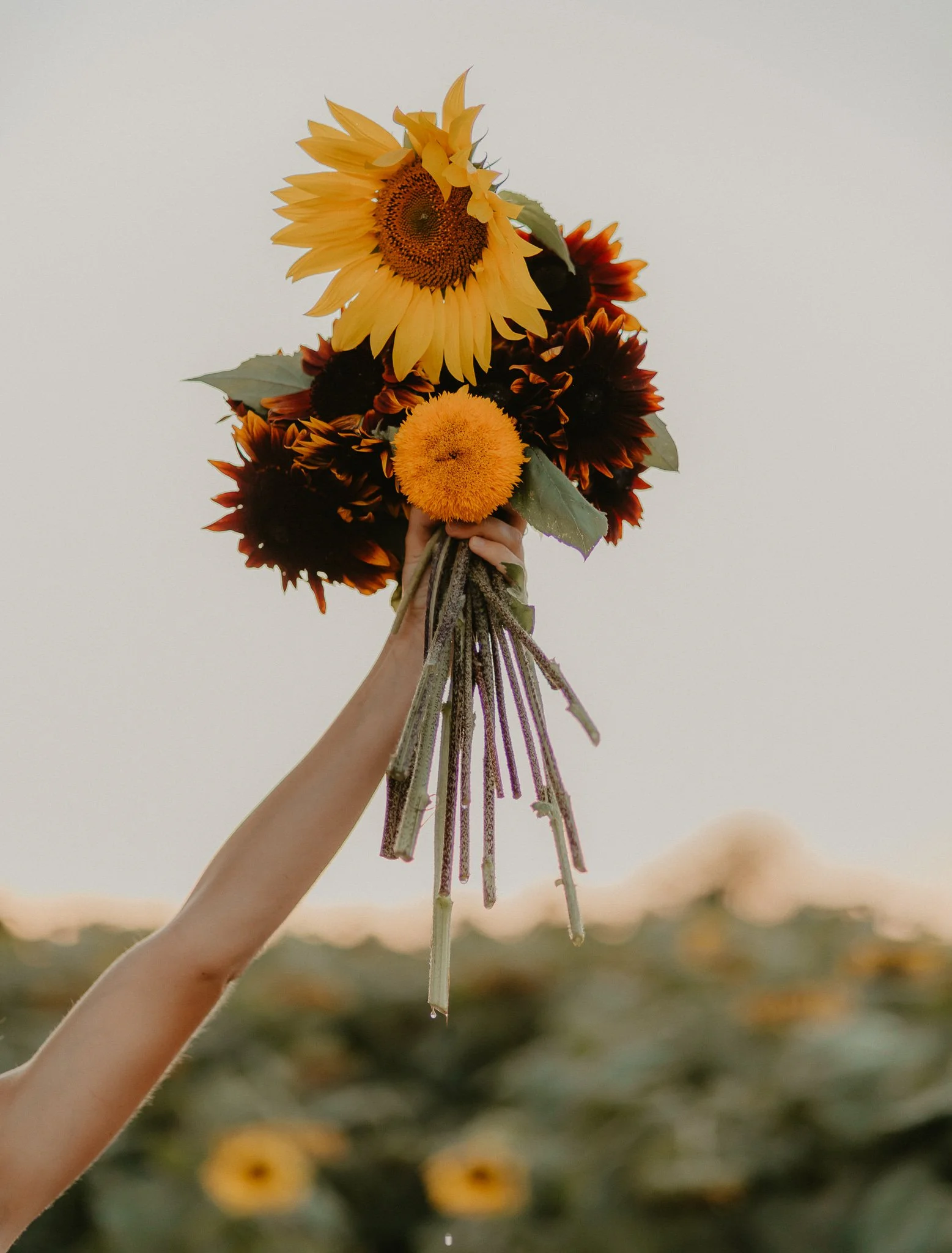 Floral Workshop + Sip n’ Bite