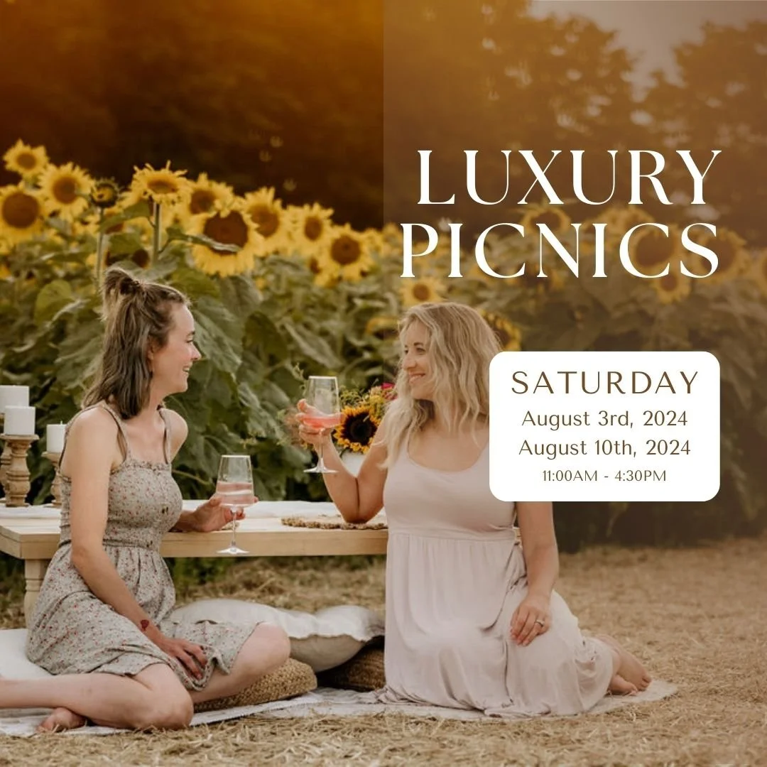 Luxury Picnics & Sunflowers