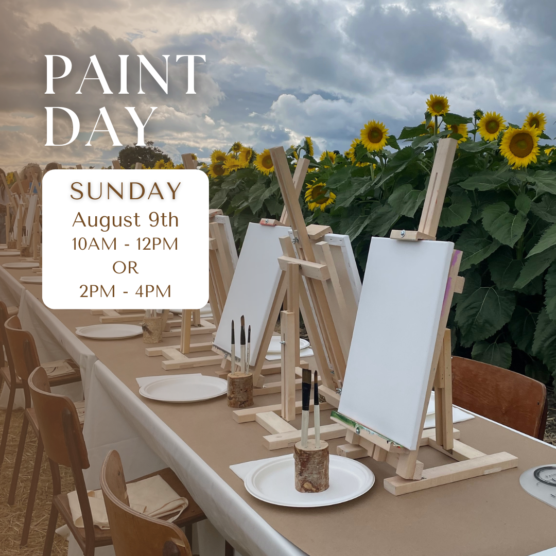 Paint Day - Morning or Afternoon