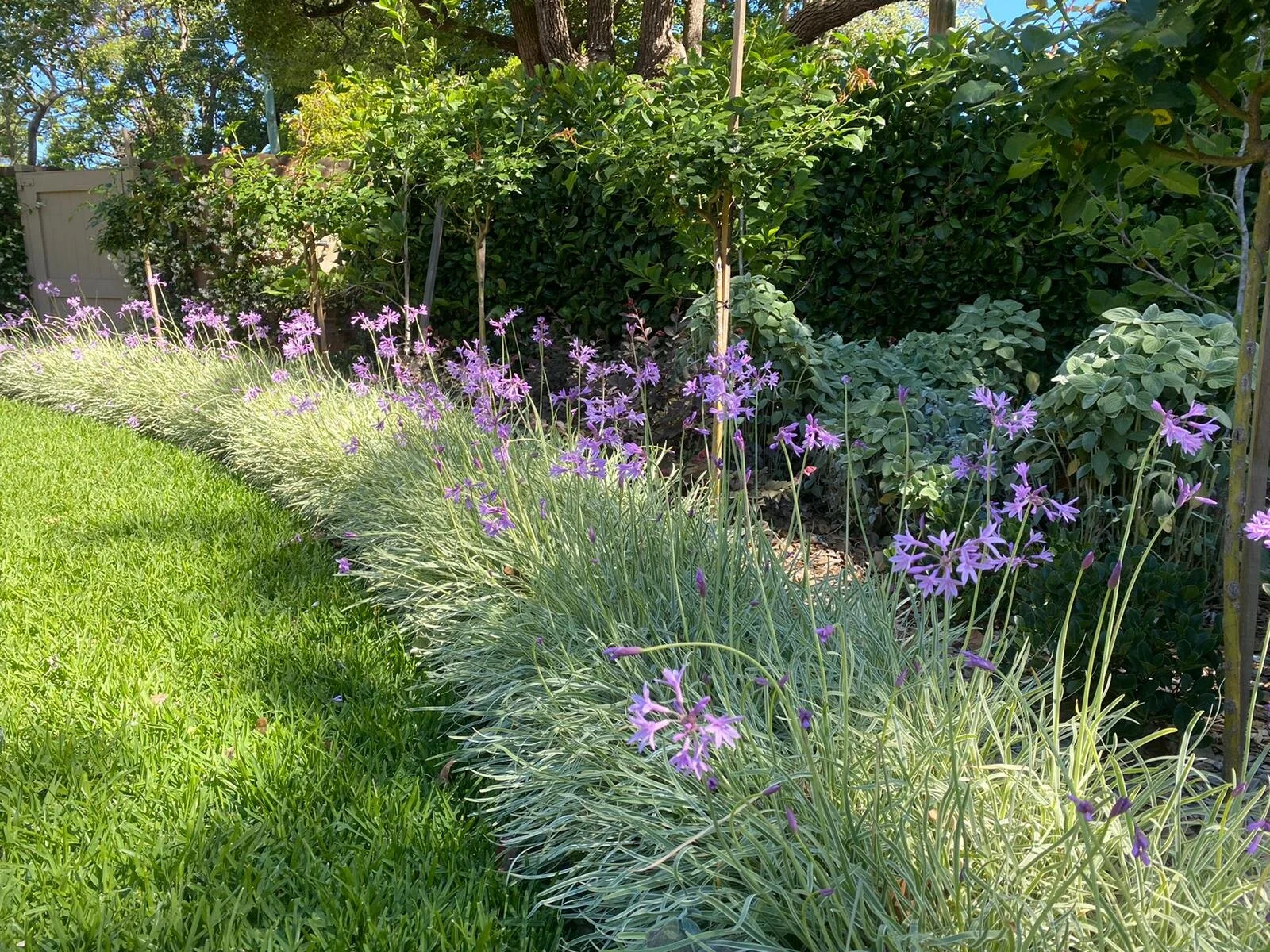 PHOTO-2020-11-10-05-36-21 2.jpg