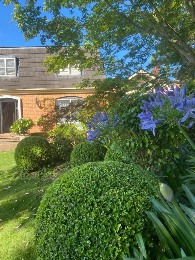 PHOTO-2020-12-07-05-24-10 5.jpg