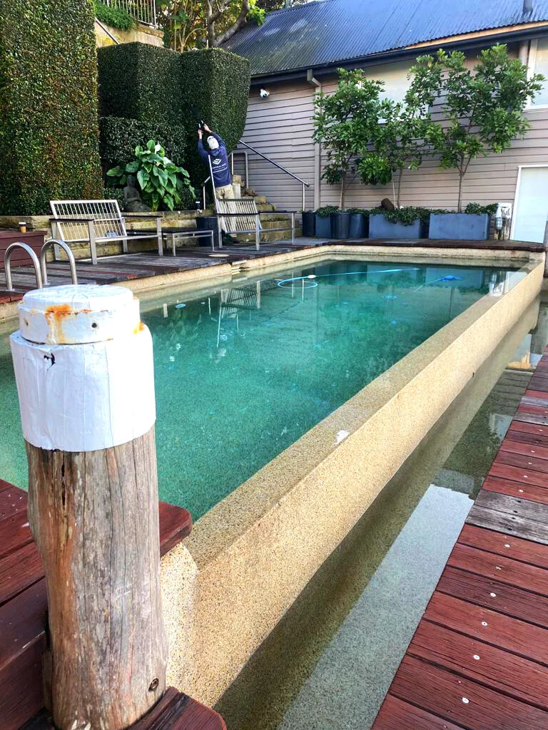 PHOTO-2020-07-23-06-37-50 3 (1).jpg