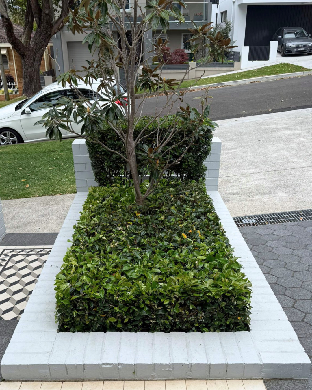 Central Oak centraloak.com.au (10).png