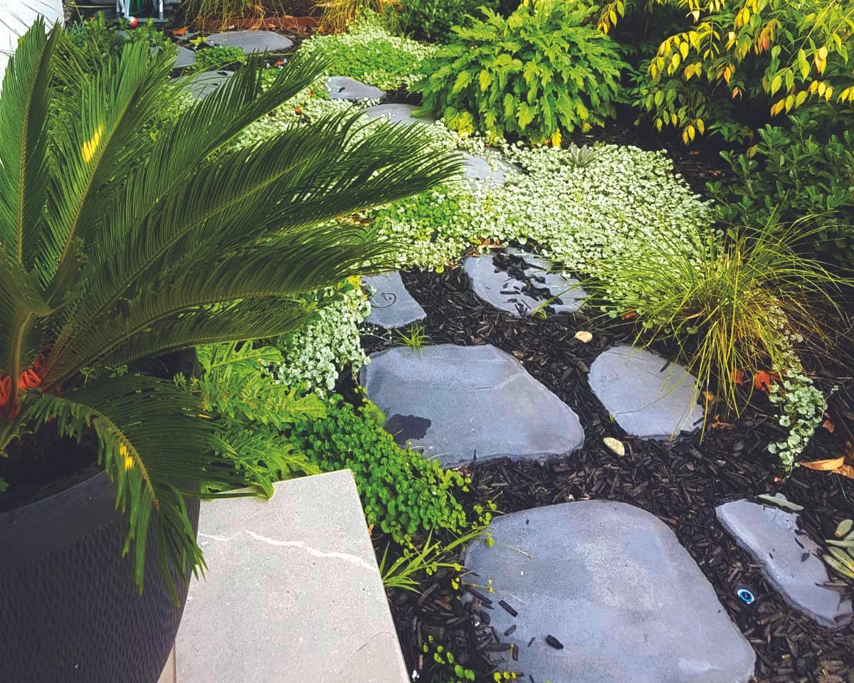 A garden pathway with large flat stones set in black mulch, surrounded by green plants and foliage, including a potted fern on a concrete surface.