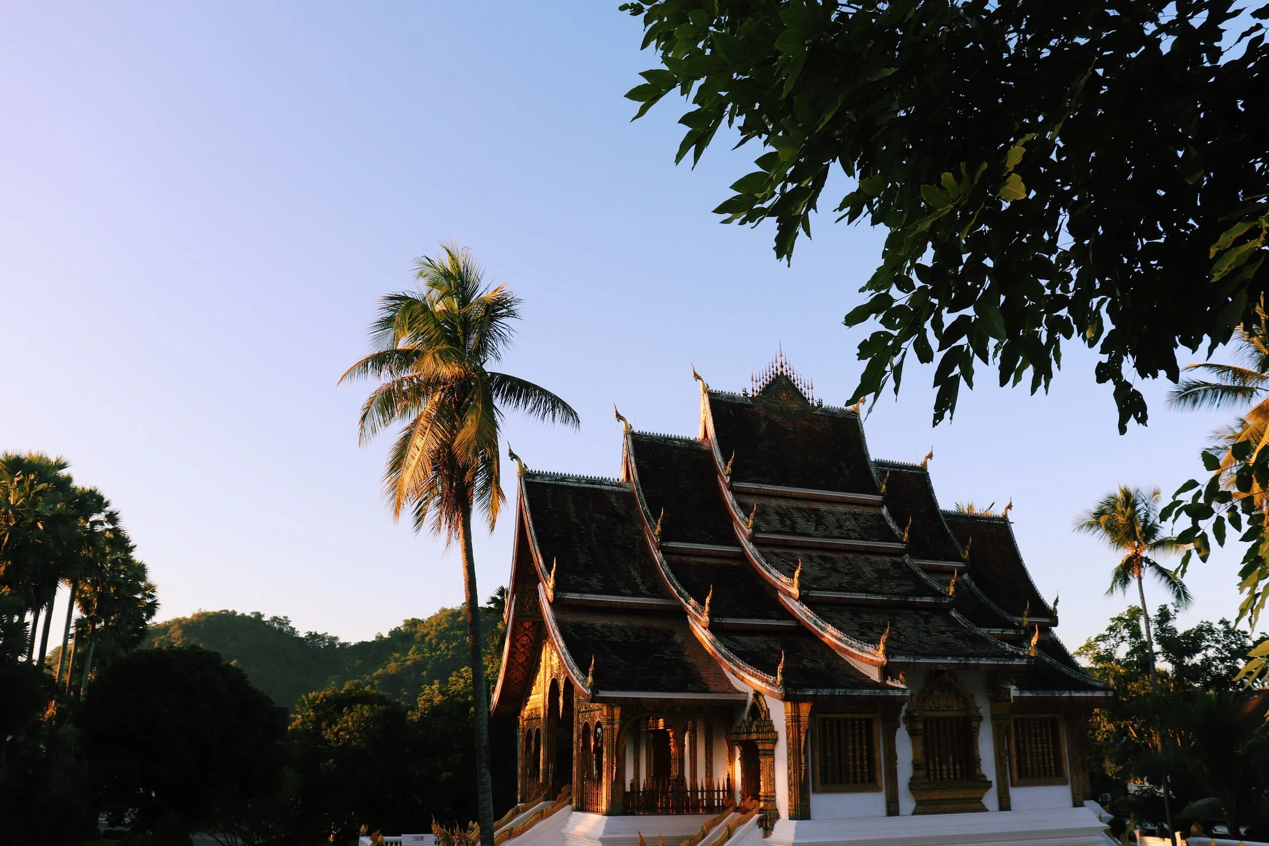 Traditional Thai temple with multiple tiered rooftops surrounded by palm trees and lush greenery under a clear sky. Laos