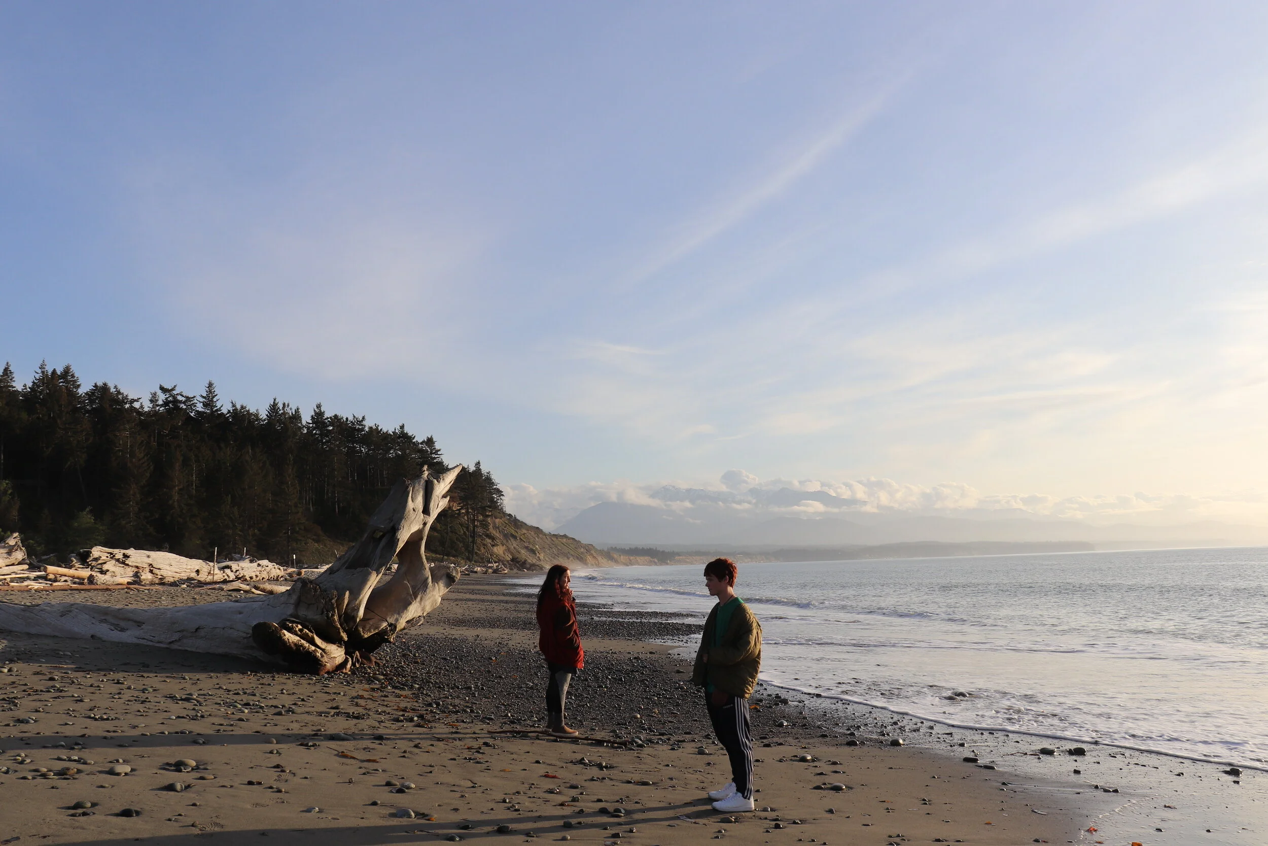 Two people standing on a sandy beach near driftwood, with trees on a hill in the background and the ocean extending into the horizon under a mostly clear sky.