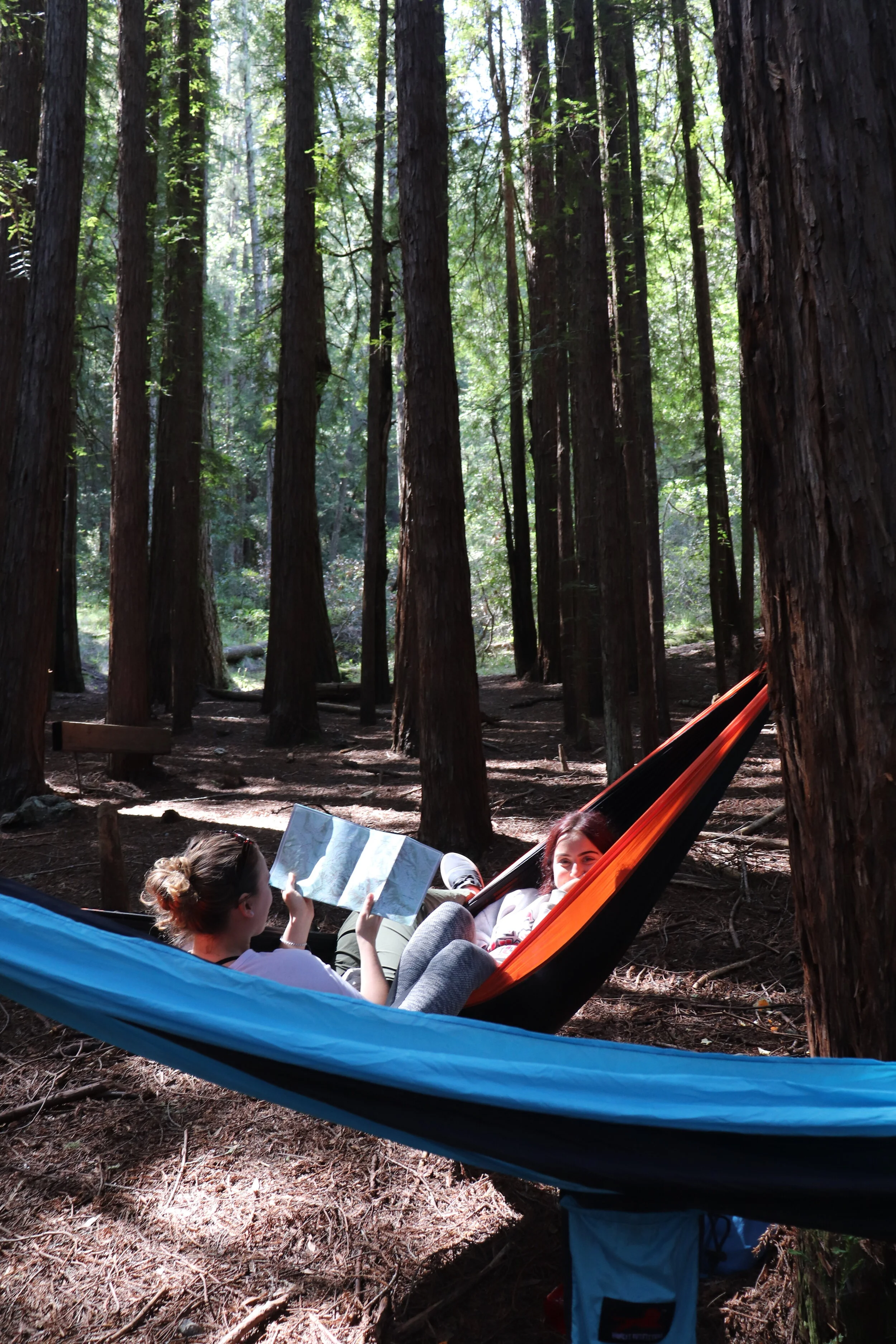 Two girls resting in hammocks in a forest, one reading a map and the other looking at the camera.