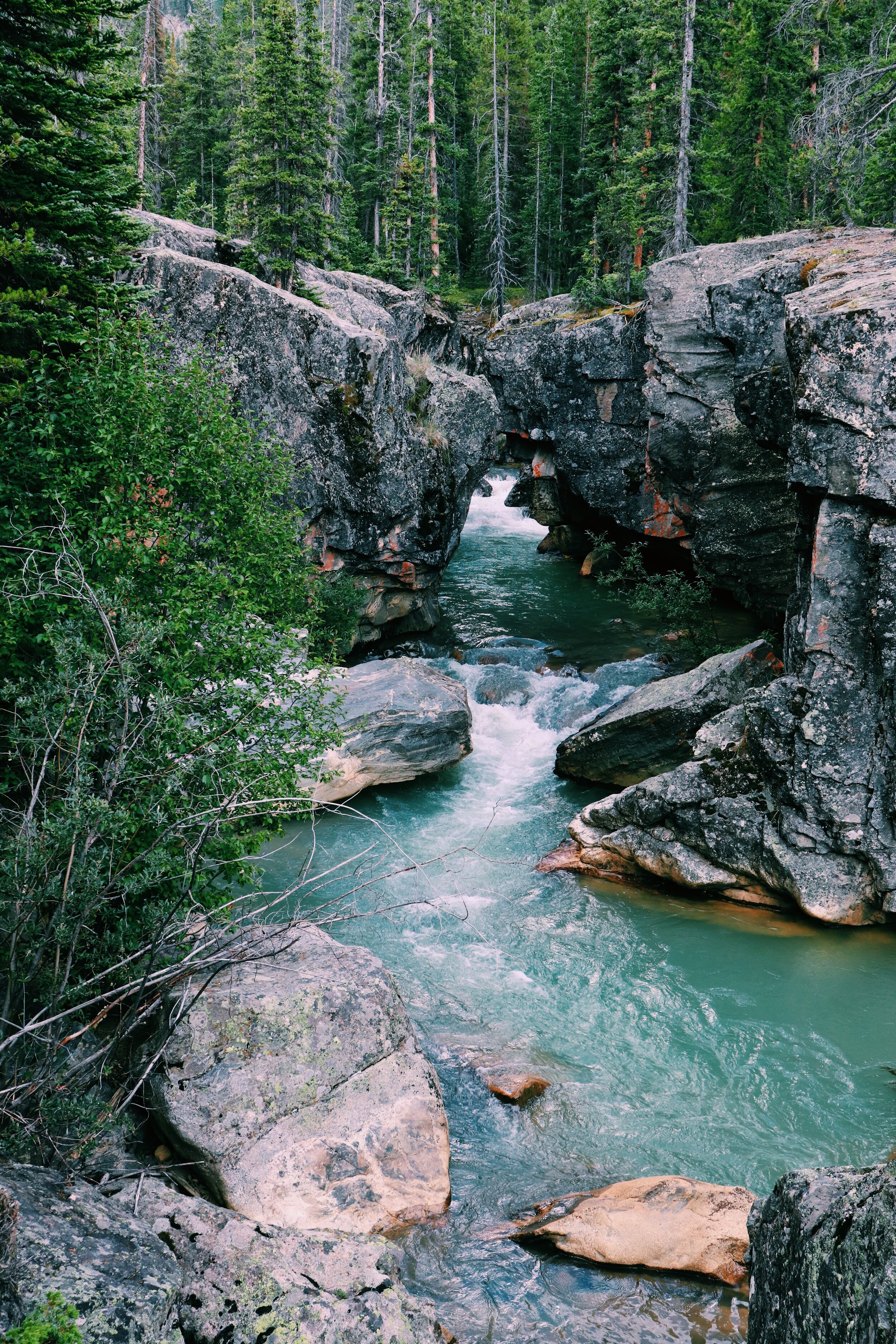 A river flowing through a rocky gorge surrounded by lush green pine trees. Aspen Colorado