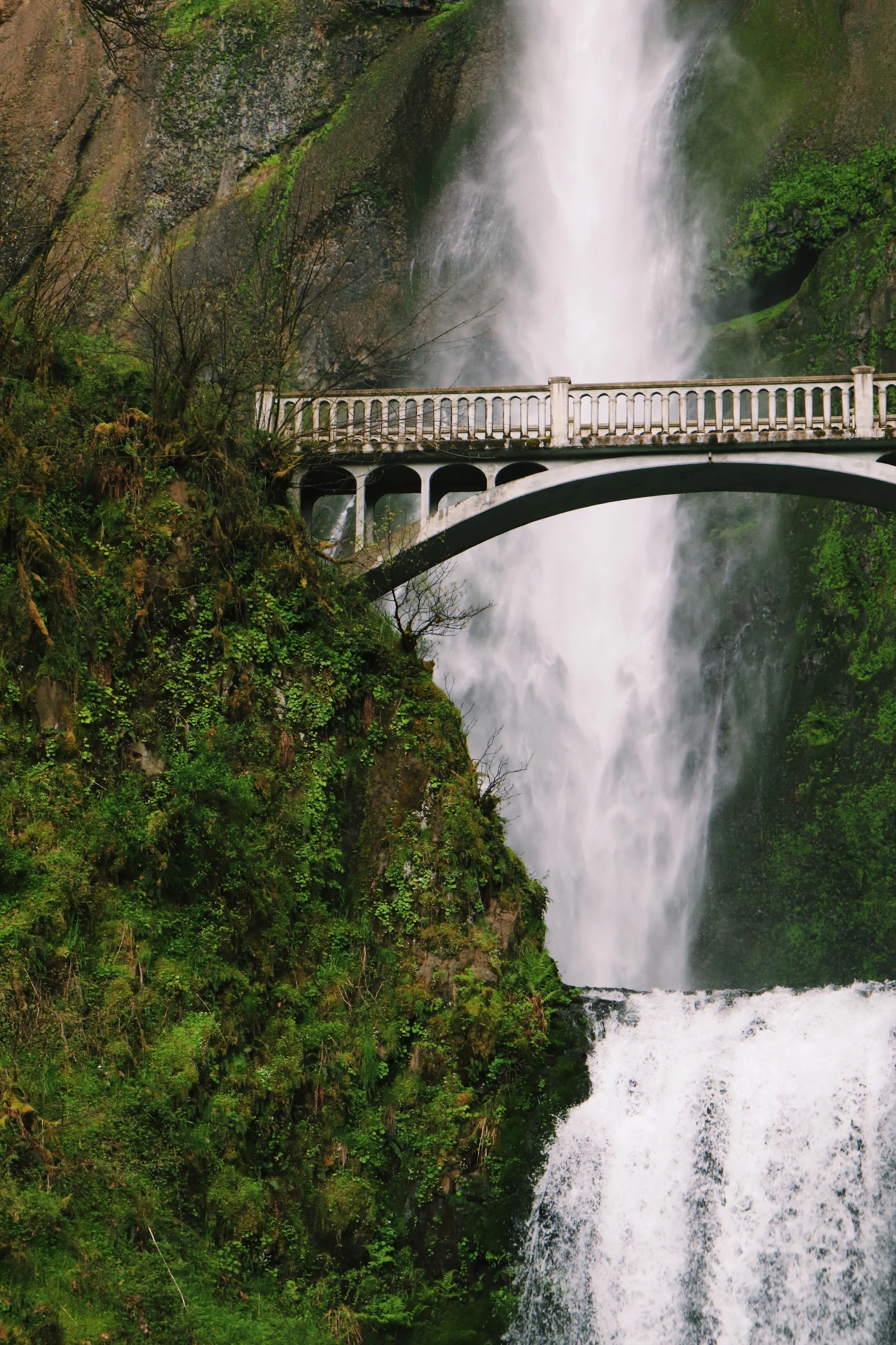 A scenic view of a waterfall with a bridge crossing over it, lush green foliage surrounds the area.