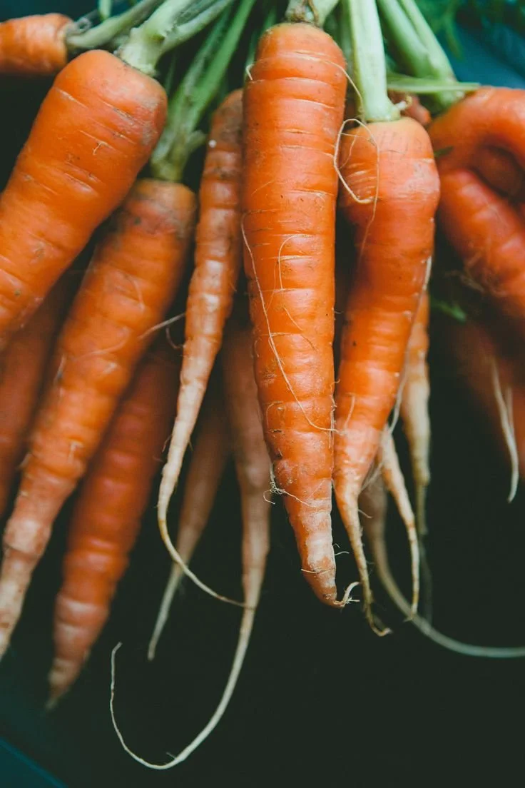 Fresh, locally grown carrots sourced from regenerative farms in the Roaring Fork Valley for vibrant, nutrient-dense meals.