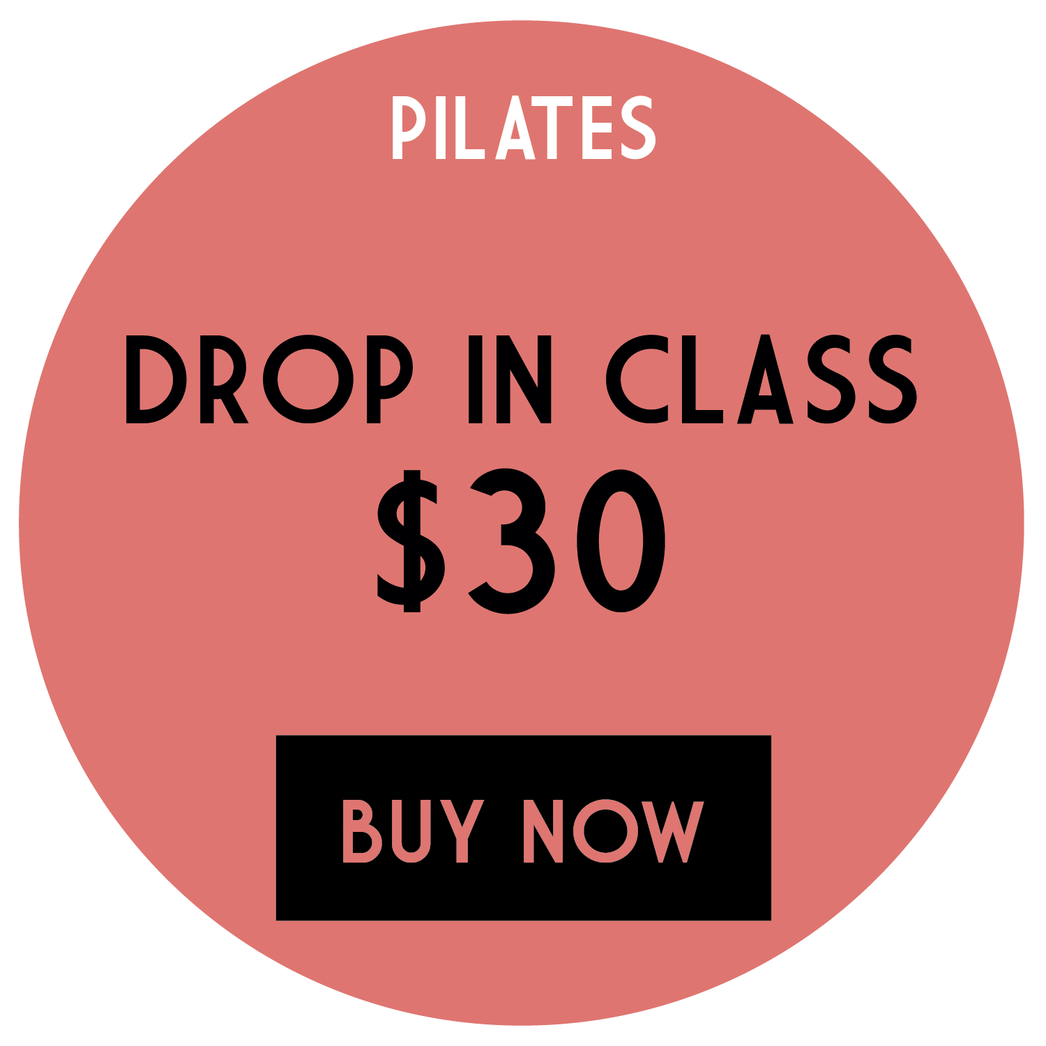 the_pilates_barre-01.png
