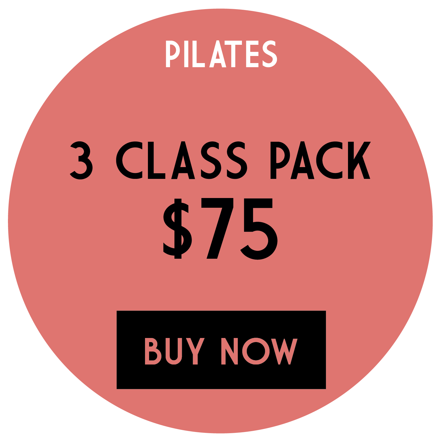 the_pilates_barre-02.png