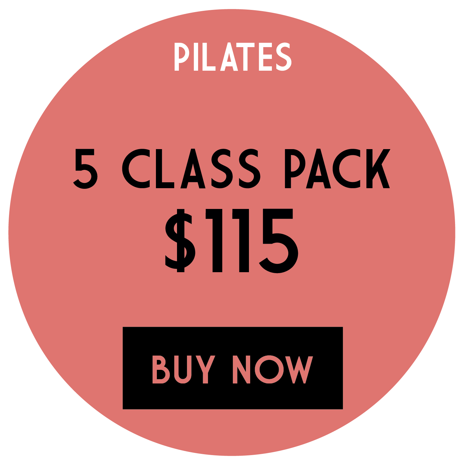 the_pilates_barre-03.png