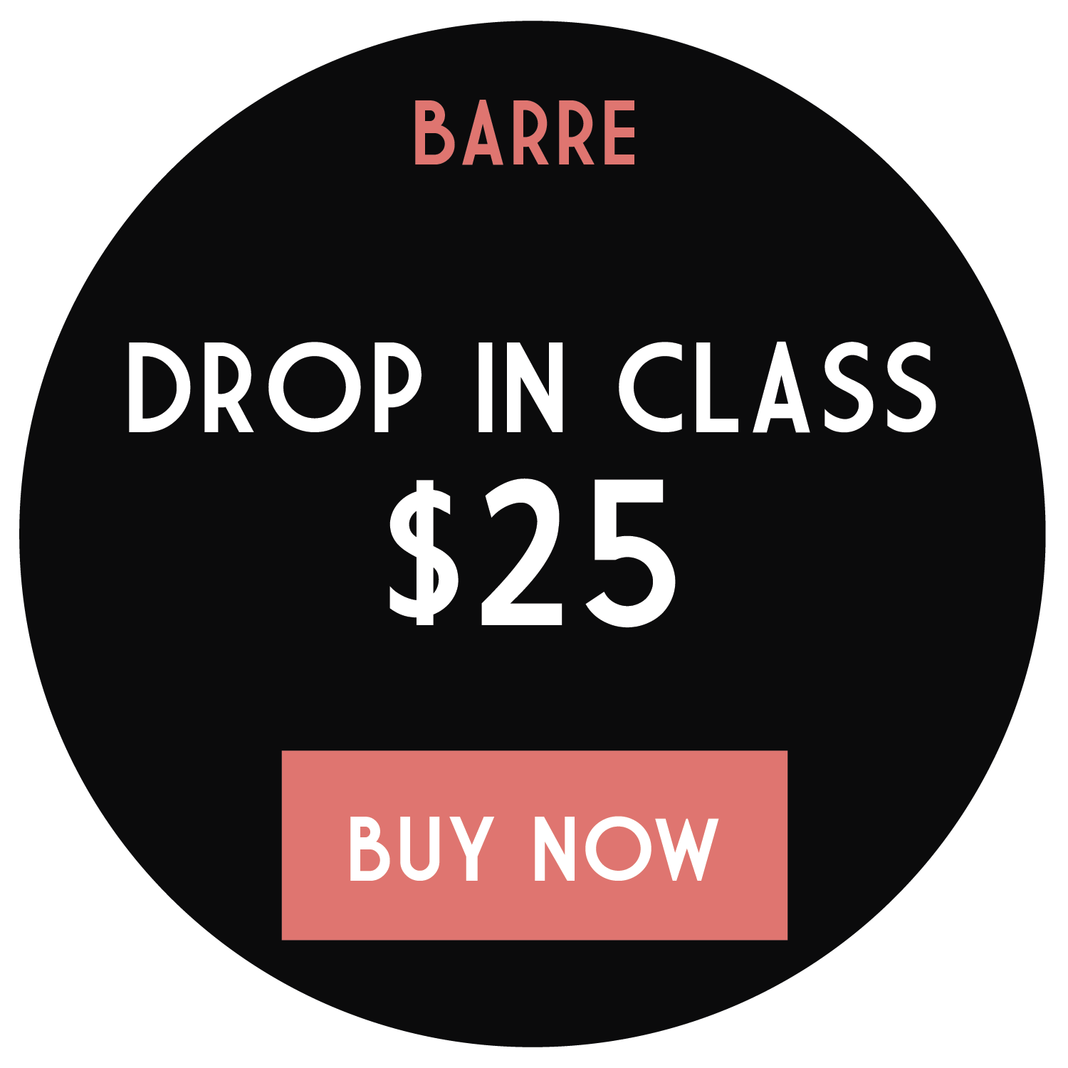 the_pilates_barre-07.png