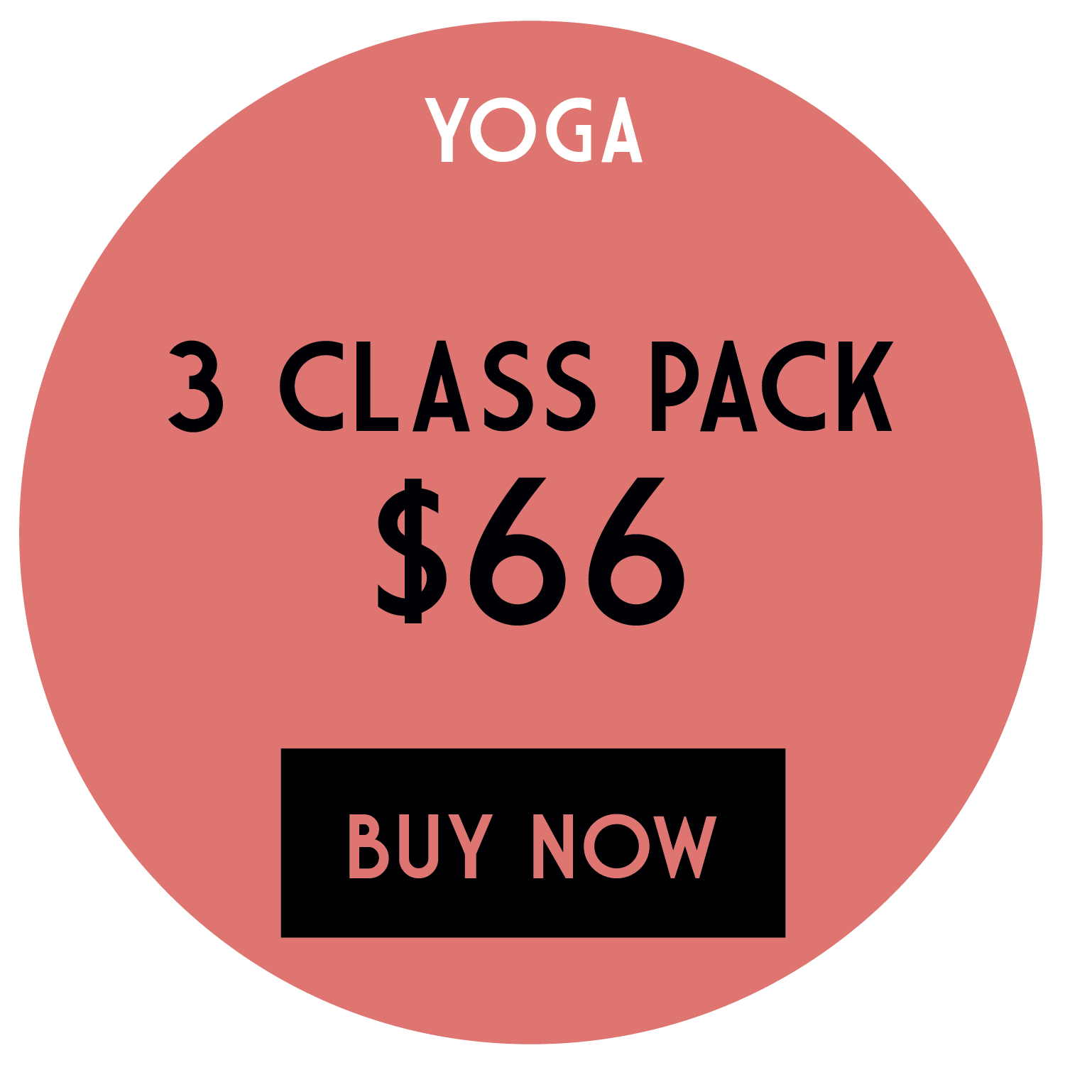 the_pilates_barre-14.png