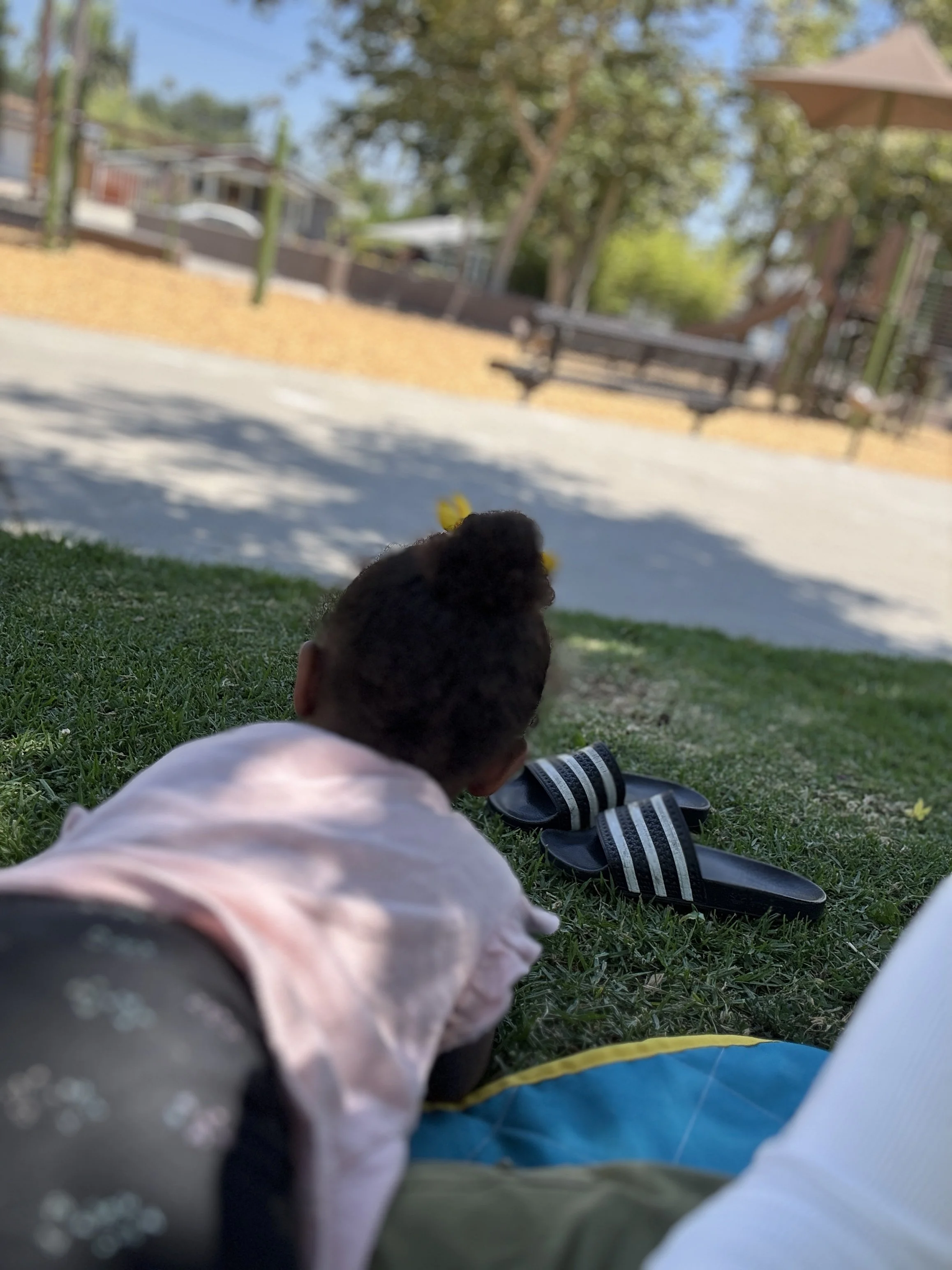 MY SOCIAL MEDIA TRANSITION (2)