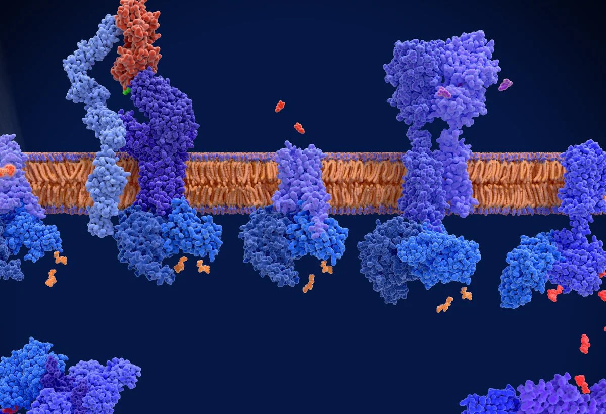 Source: Juan Gärtner, https://stock.adobe.com/uk/436874528, stock.adobe.com