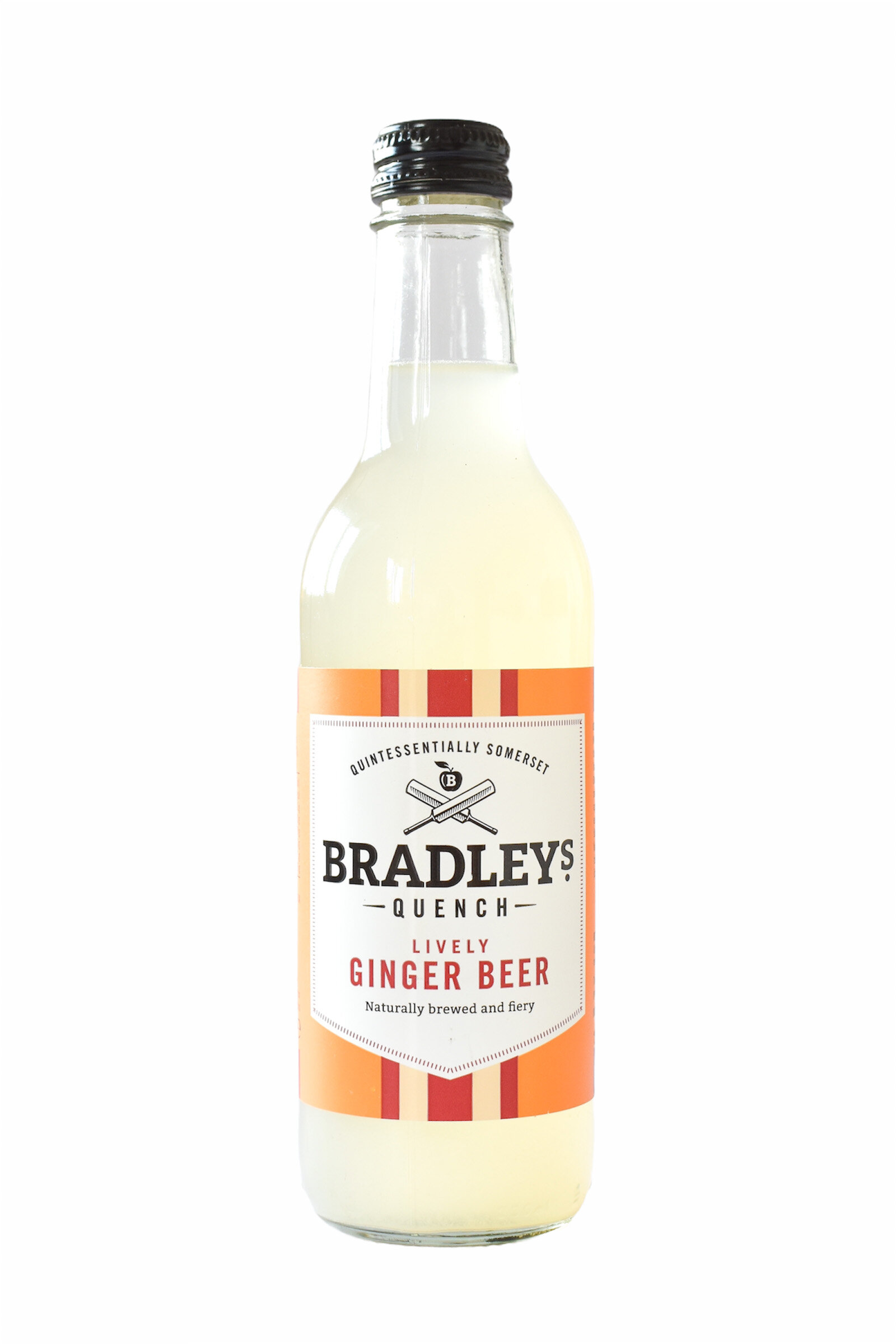 Case of Lively Ginger Beer