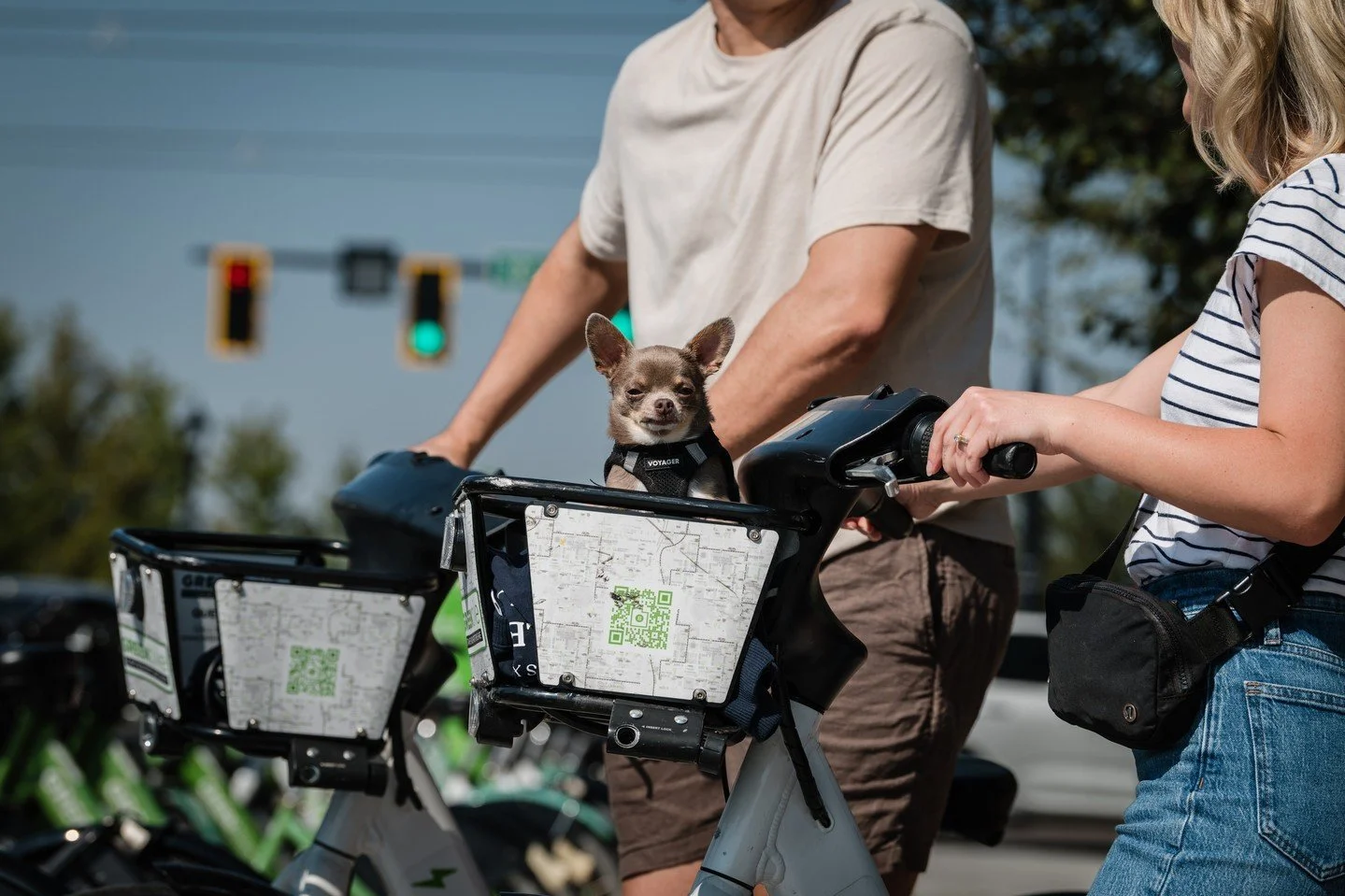 Modeling all day on a GREENbike? Beanie’s calling it a wrap. 💚🐾