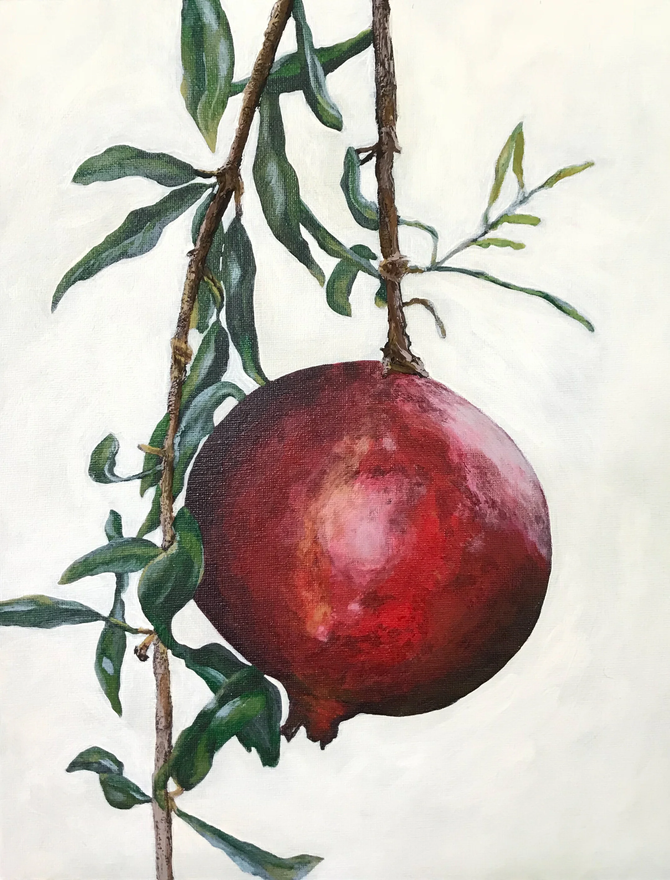 THE TEMPTING POMEGRANATE