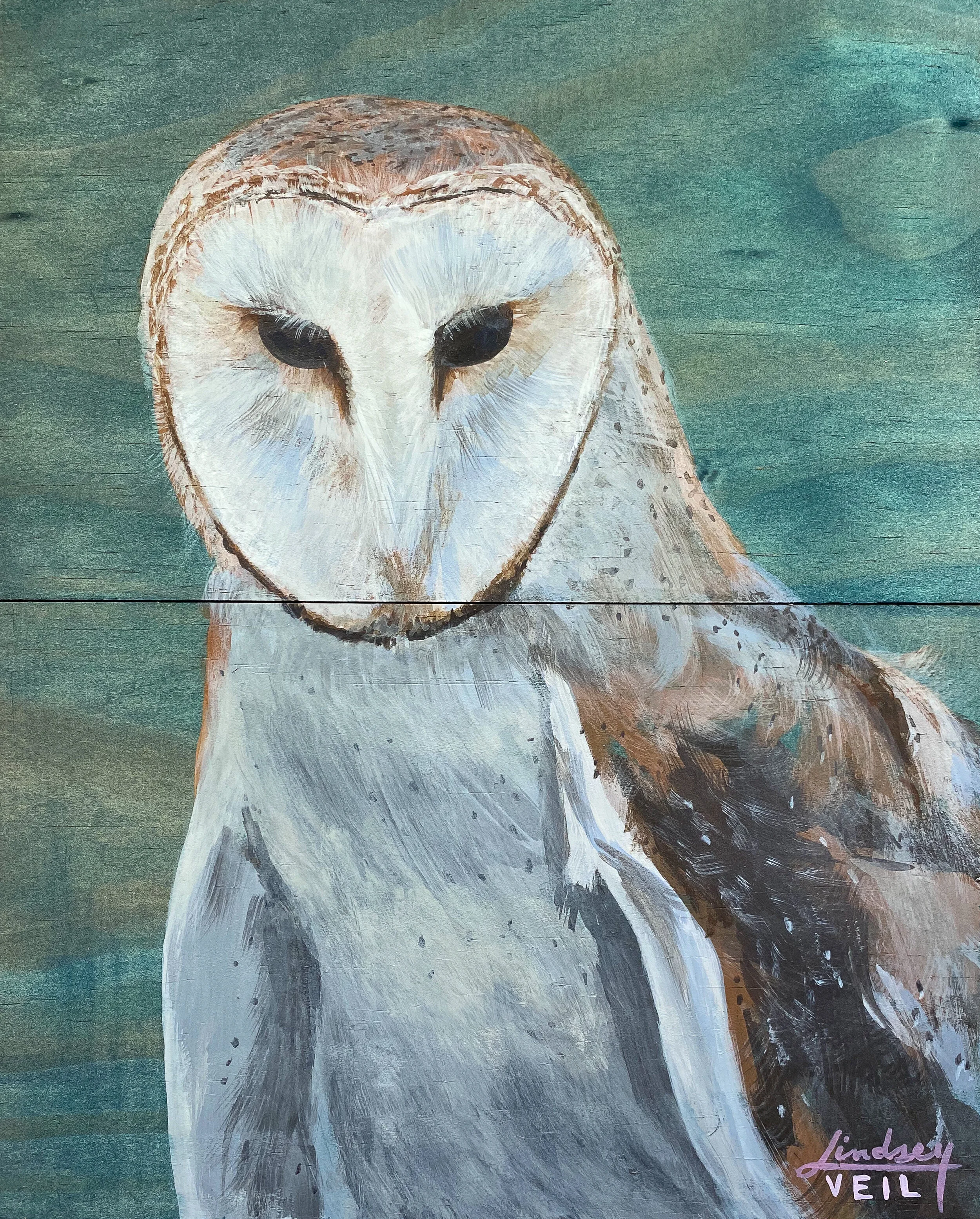 THE INTRINSIC OBSERVER