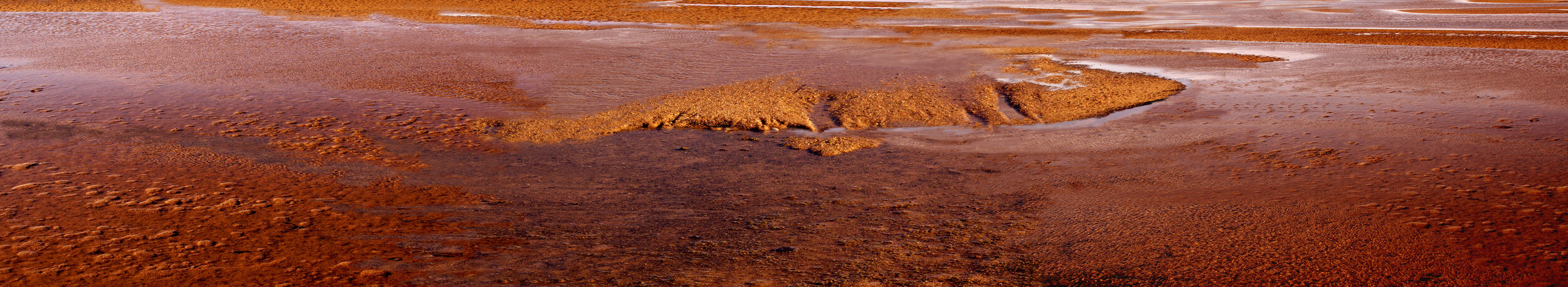 Toxic Tidal Event_60X11Coreycopy copy.jpg