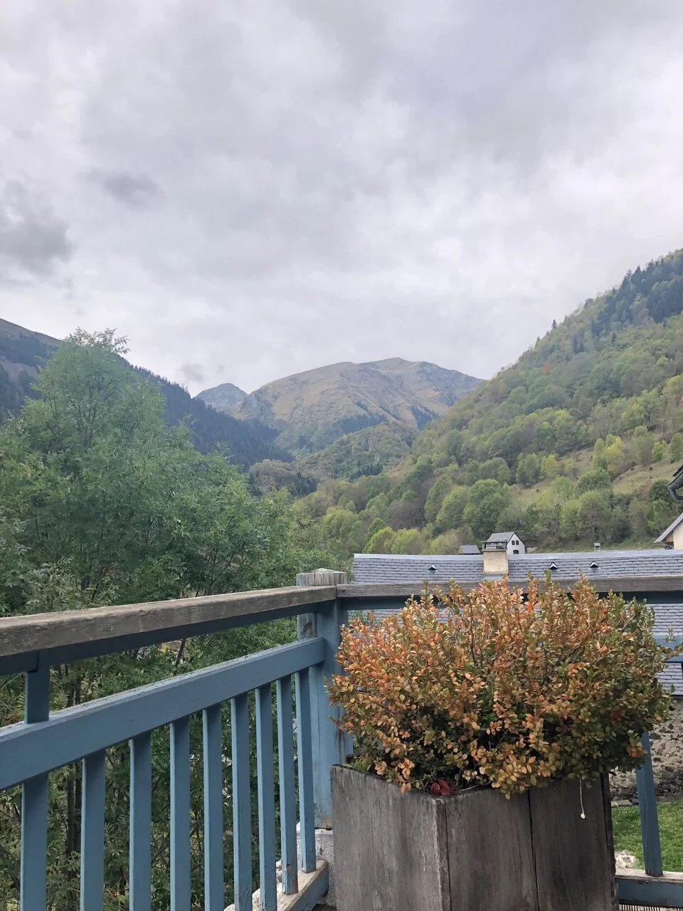 Putting on my reading glasses 