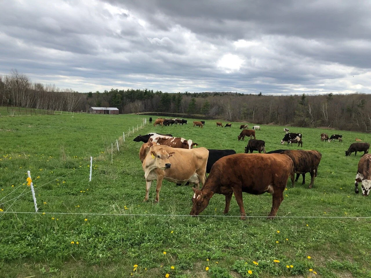 Broken in all the Right Places 