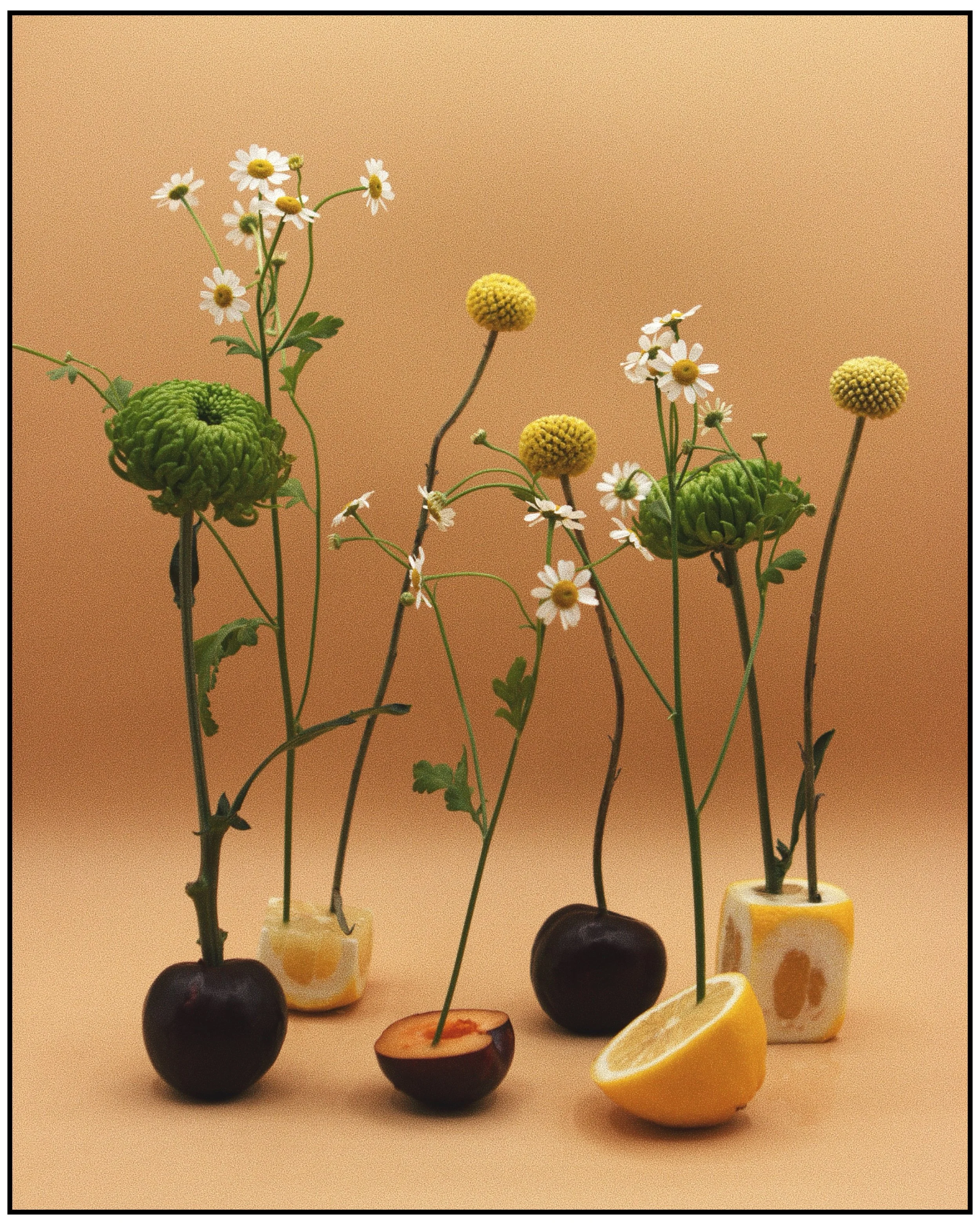 IMG_1251.JPG