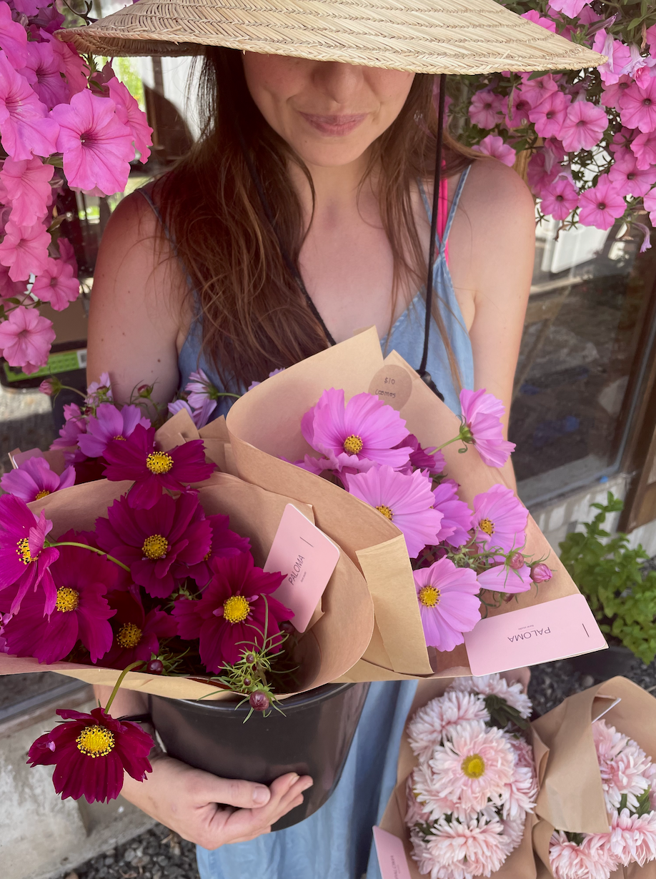 Screen Shot 2023-02-15 at 8.12.54 PM.png