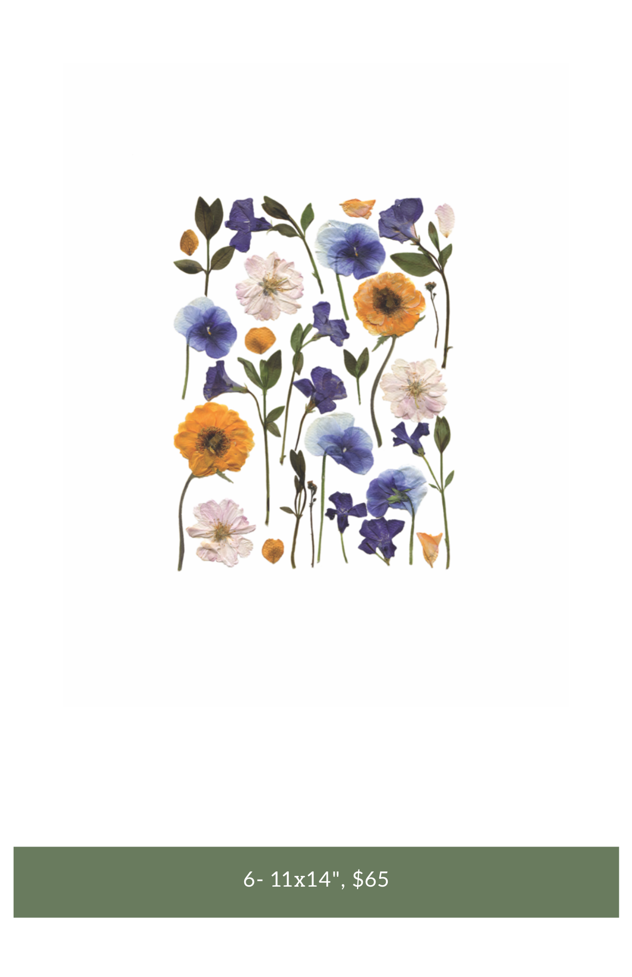 Paloma floral studio (8).png